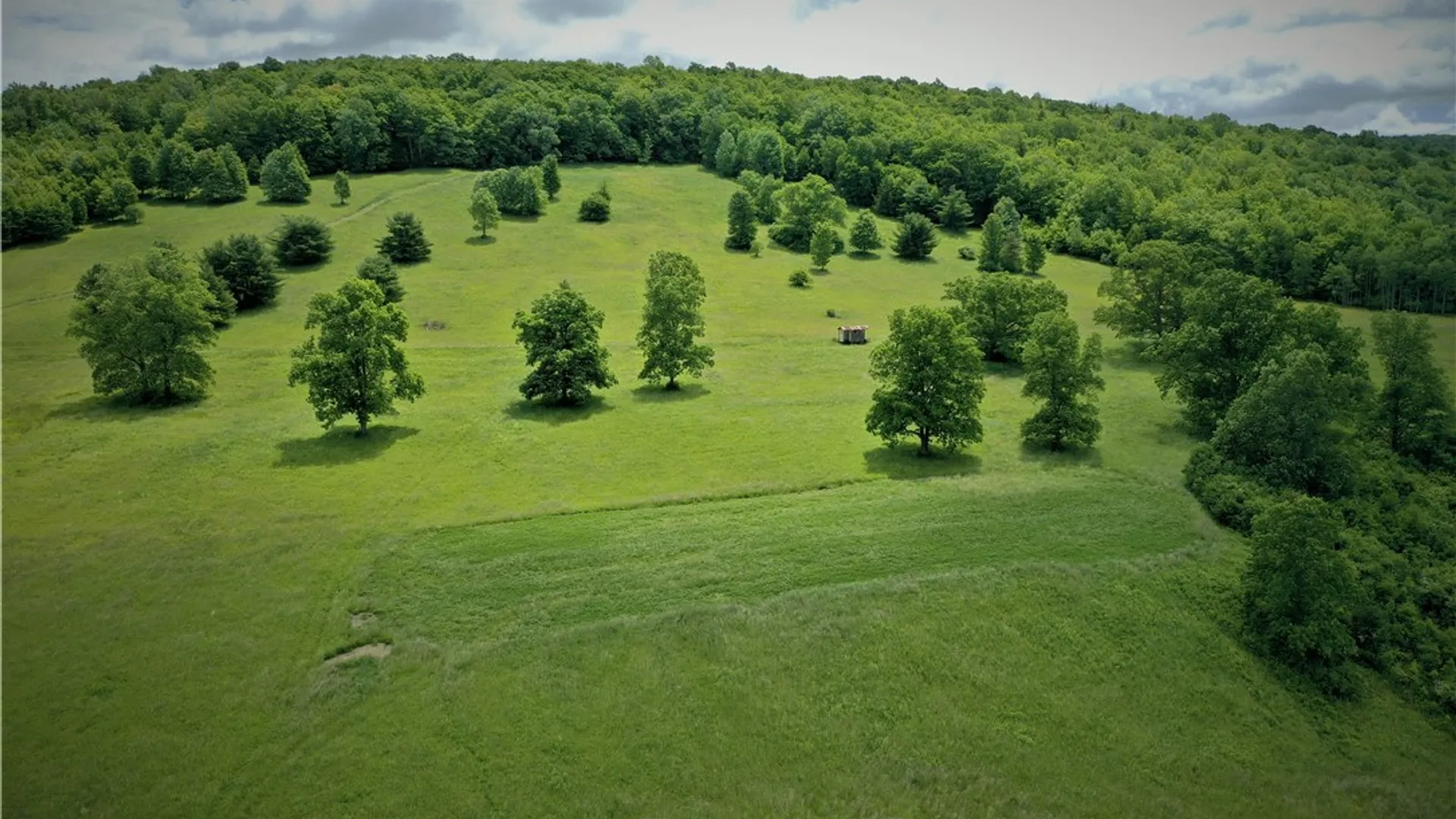Property at WEST 3606 County Road 9, Scio, NY 14880 17
