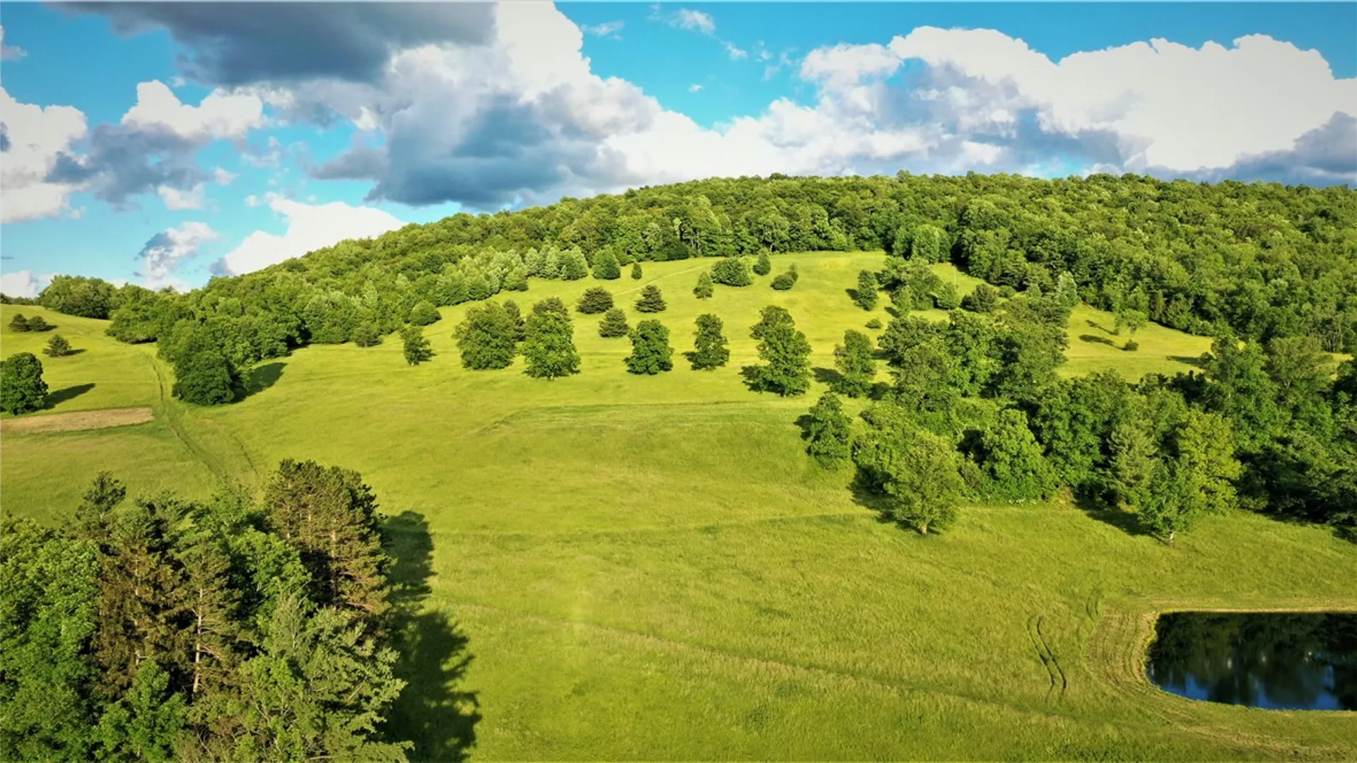 Property at WEST 3606 County Road 9, Scio, NY 14880 18