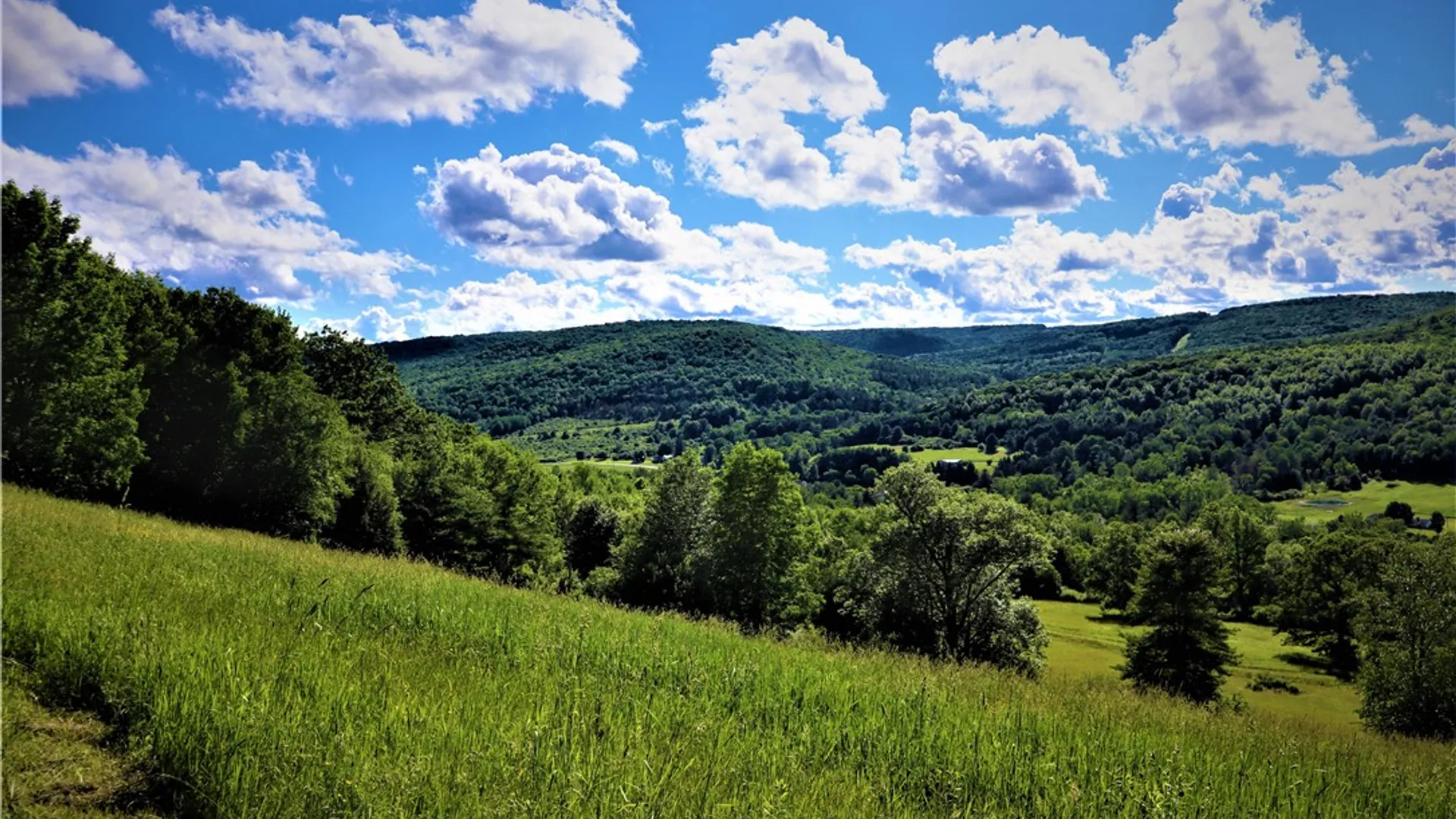 Property at WEST 3606 County Road 9, Scio, NY 14880 20