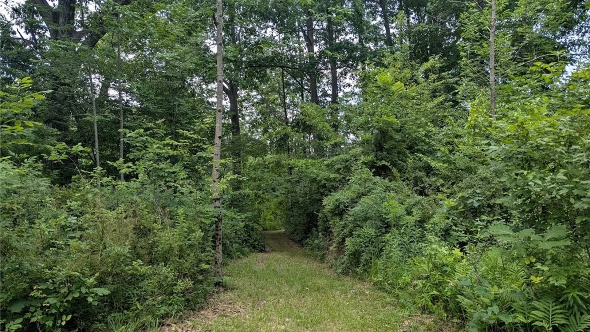 Property at 5705 E Main Street, Verona, NY 13478 44