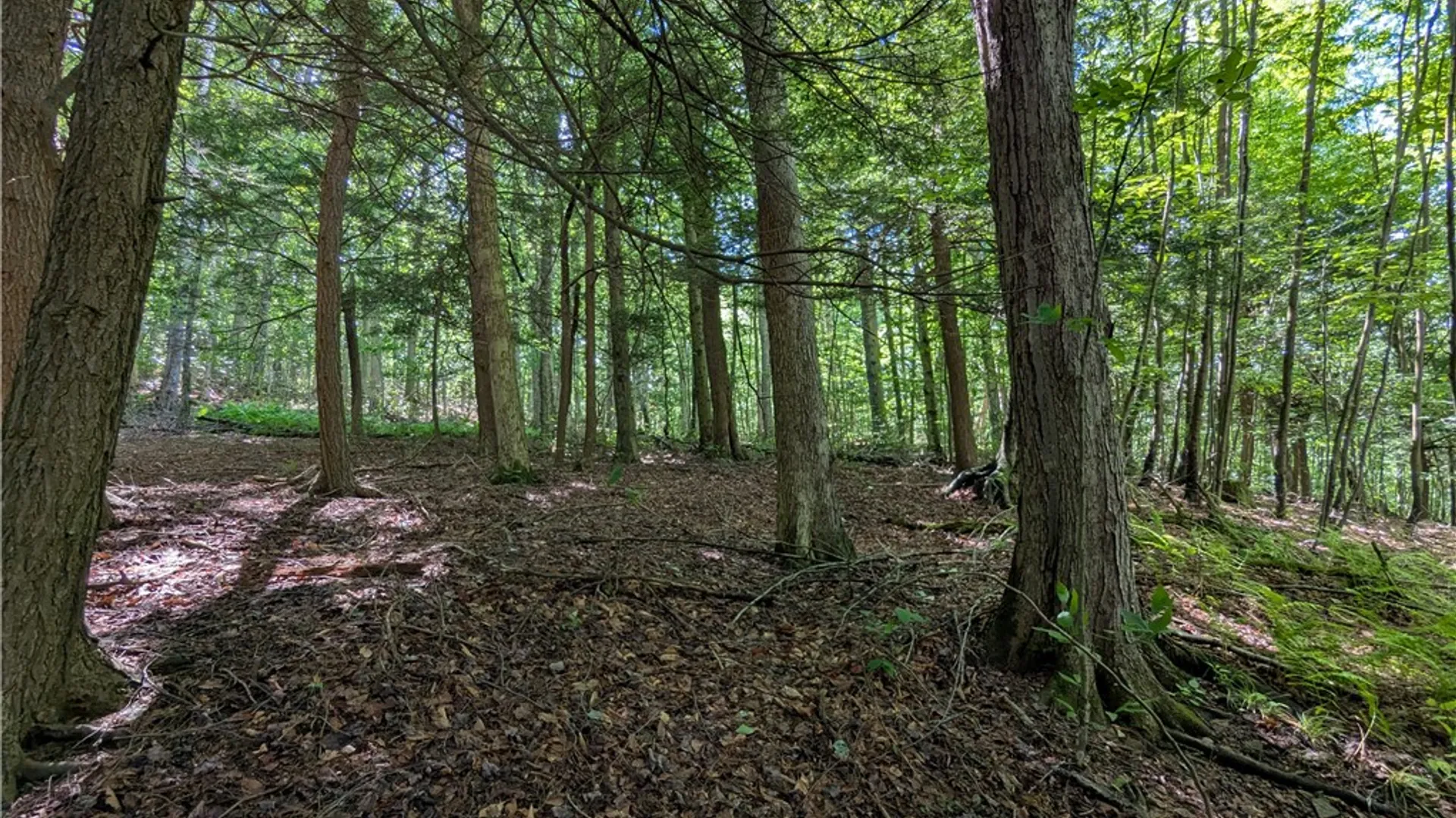 Property at Raven Hill Road, Clara City, PA 16746 39