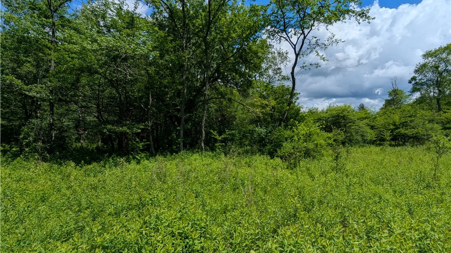 Property at Raven Hill Road, Clara City, PA 16746 44