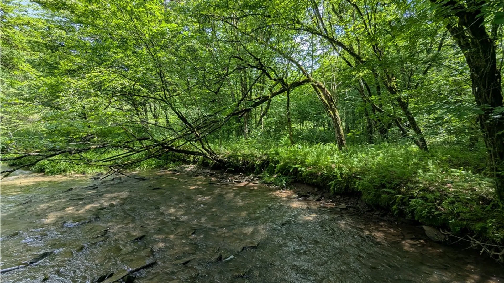 Property at Raven Hill Road, Clara City, PA 16746 46