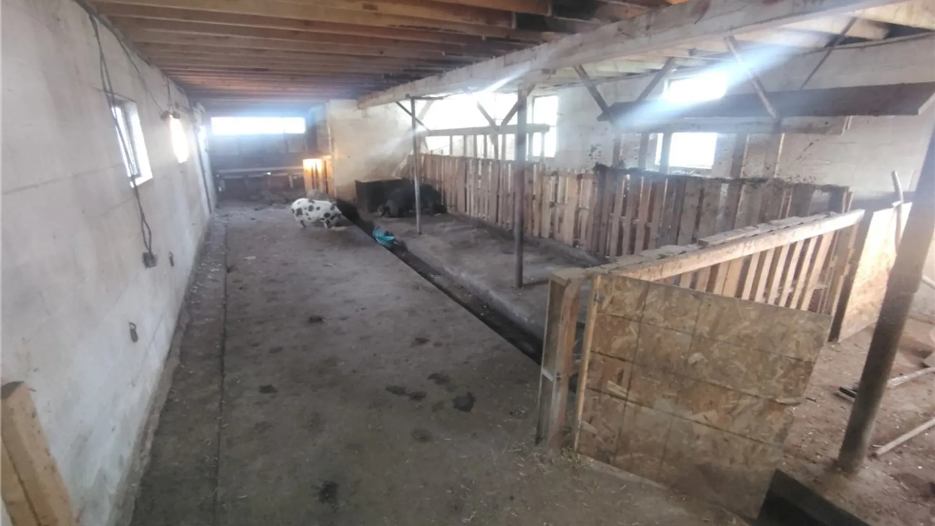 Property at 13151 Bullis Road, Marilla, NY 14052 47