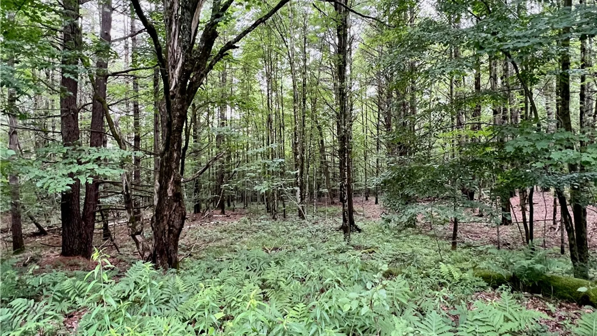 Property at Hawkins Road, Maryland, NY 12116 12