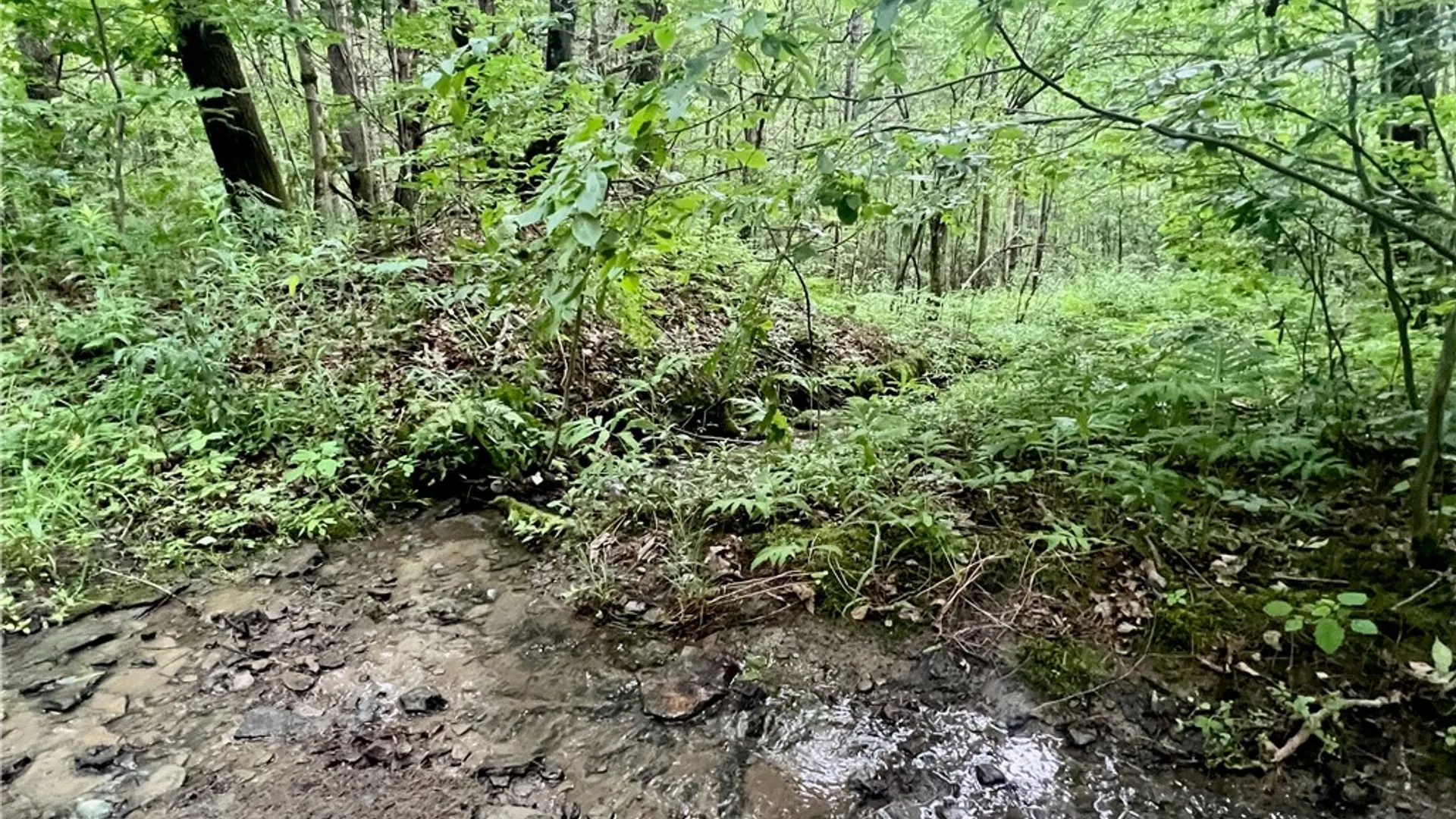 Property at Hawkins Road, Maryland, NY 12116 8