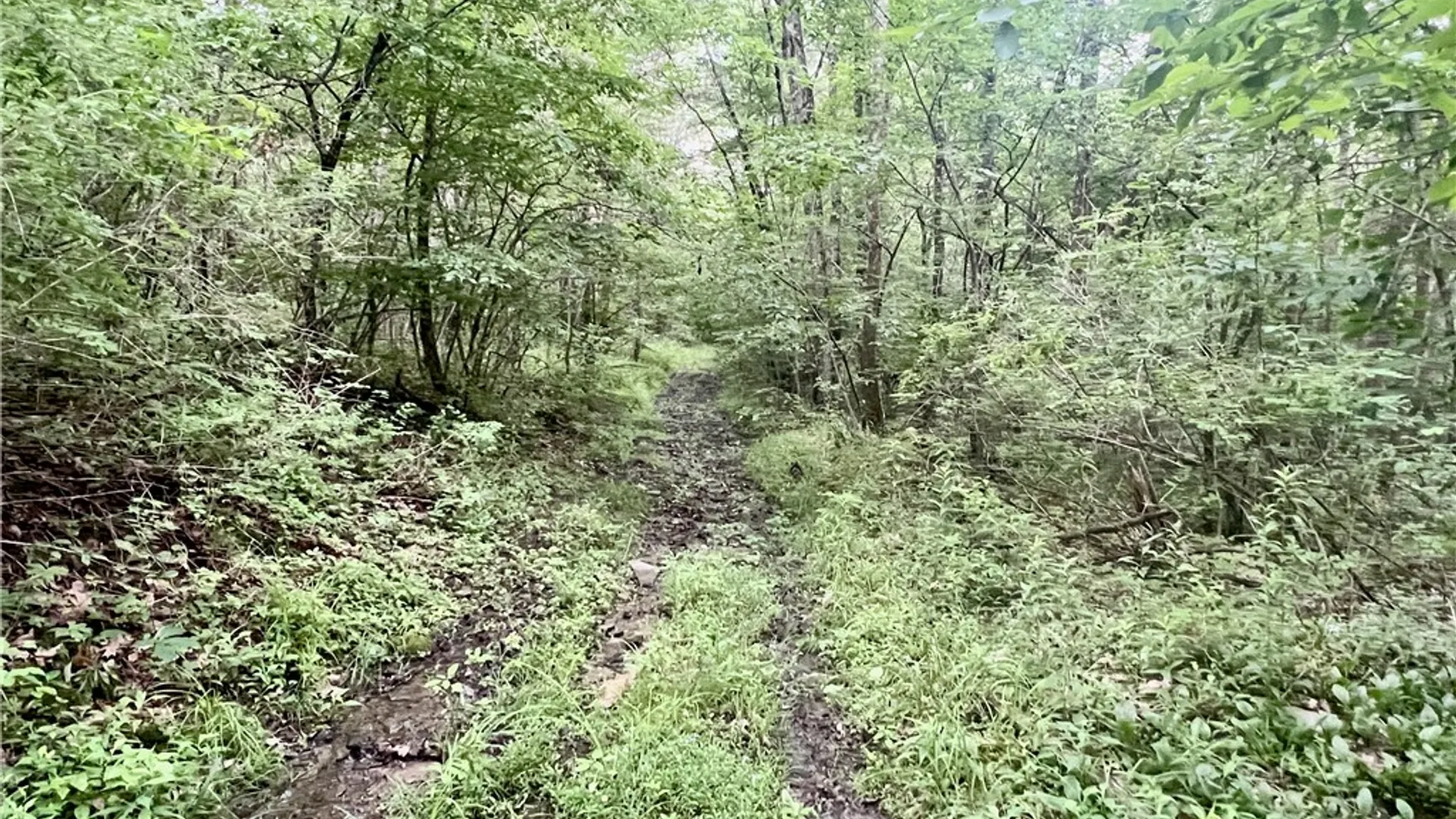 Property at Hawkins Road, Maryland, NY 12116 9
