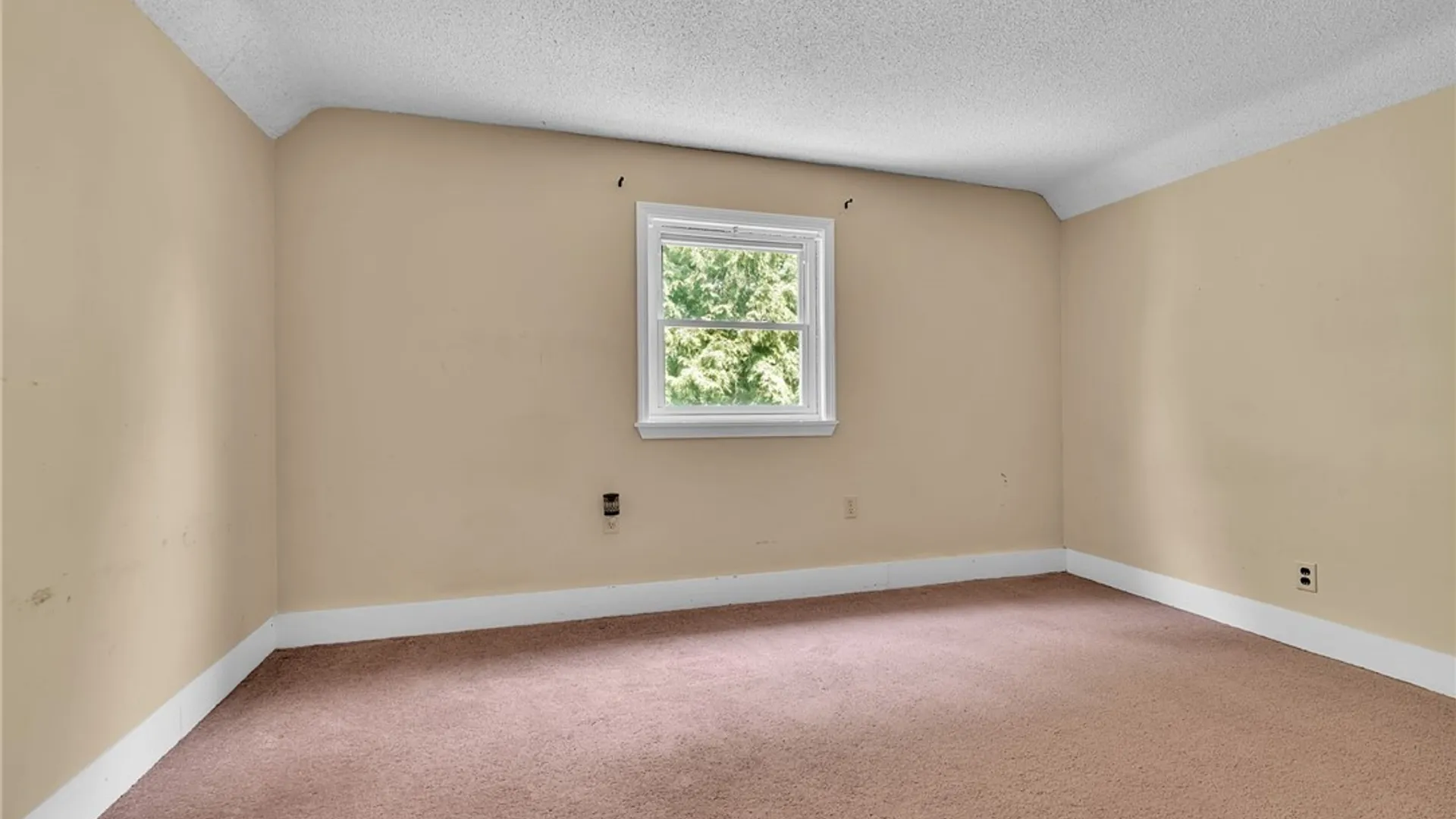 Property at 353 W Park Street, Albion, NY 14411 19
