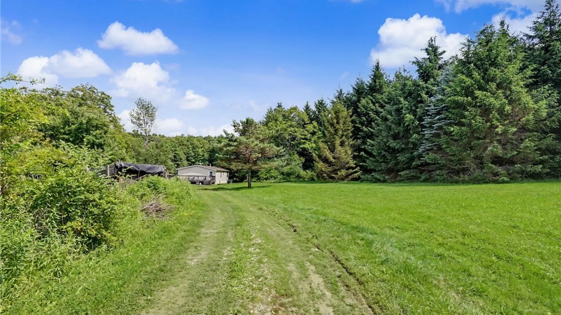 Property at 8148/8130 Healy Road, Farmersville, NY 14737 6