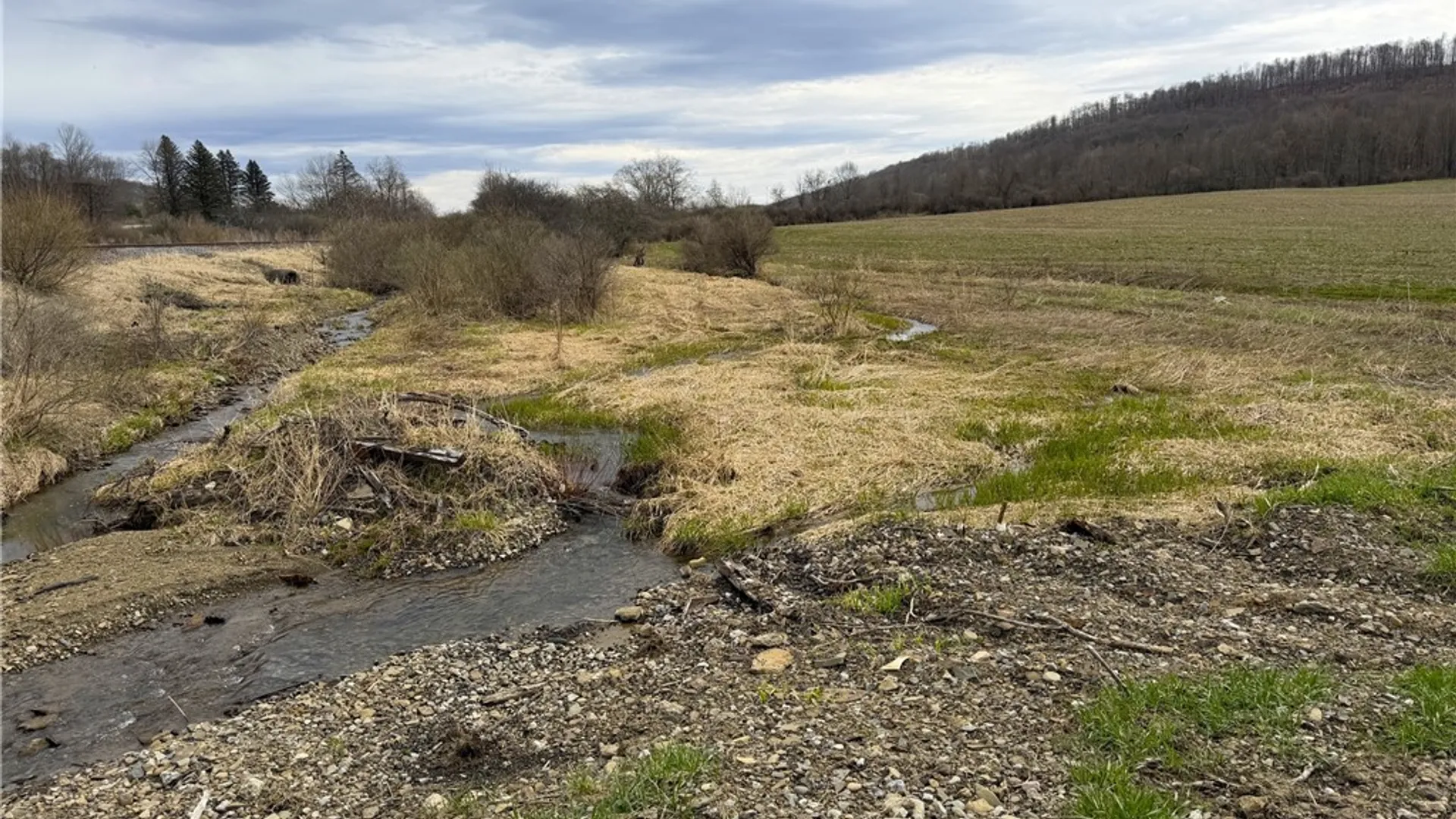 Property at Cr-20, Cuba, NY 14727 12