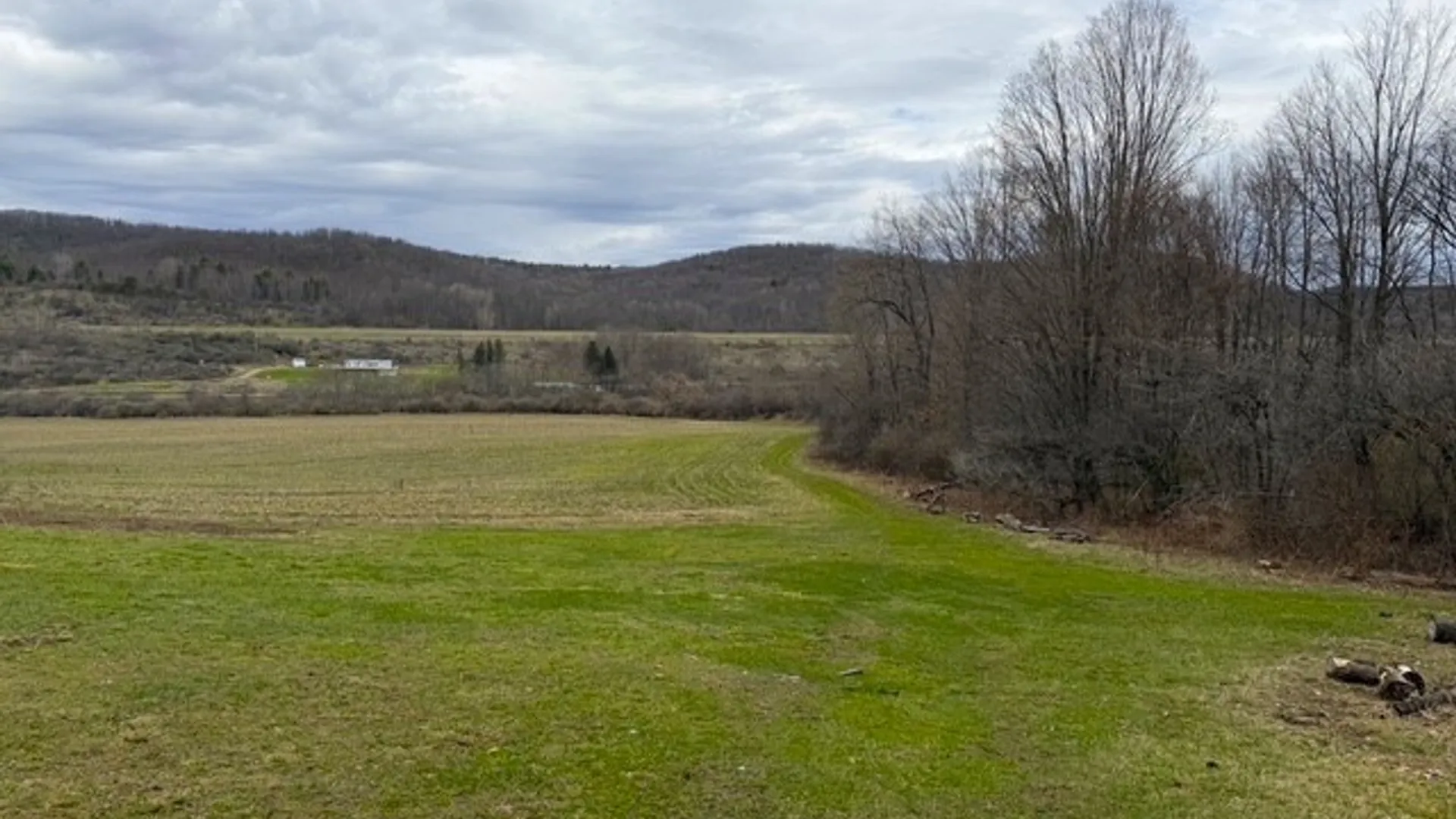 Property at Cr-20, Cuba, NY 14727 13