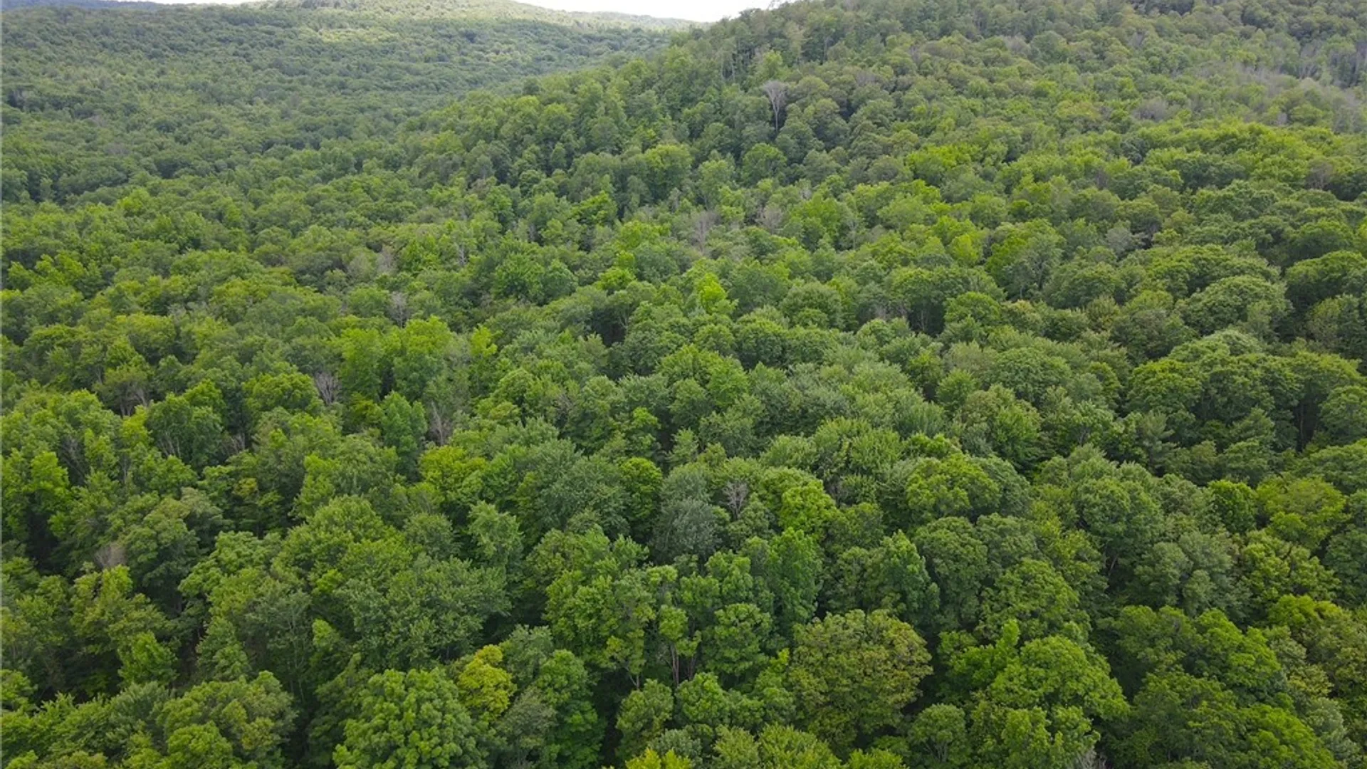 Property at Cr-20, Cuba, NY 14727 16