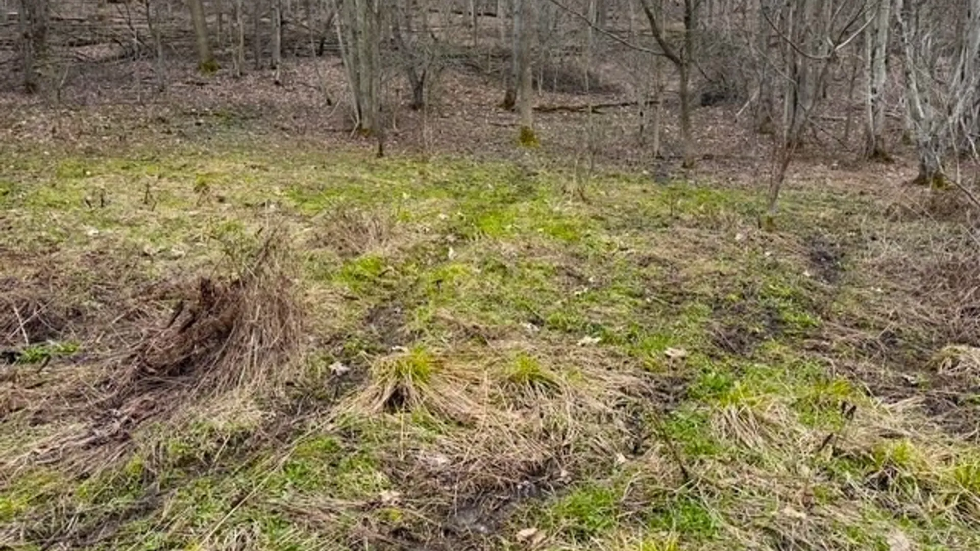 Property at Cr-20, Cuba, NY 14727 19