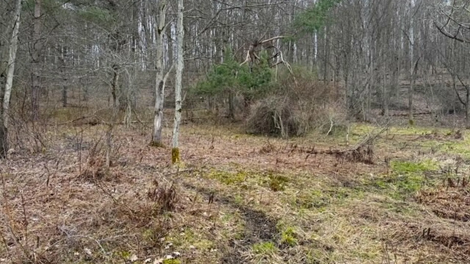 Property at Cr-20, Cuba, NY 14727 21