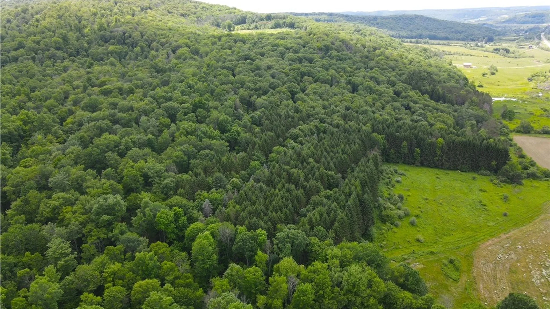 Property at Cr-20, Cuba, NY 14727 5