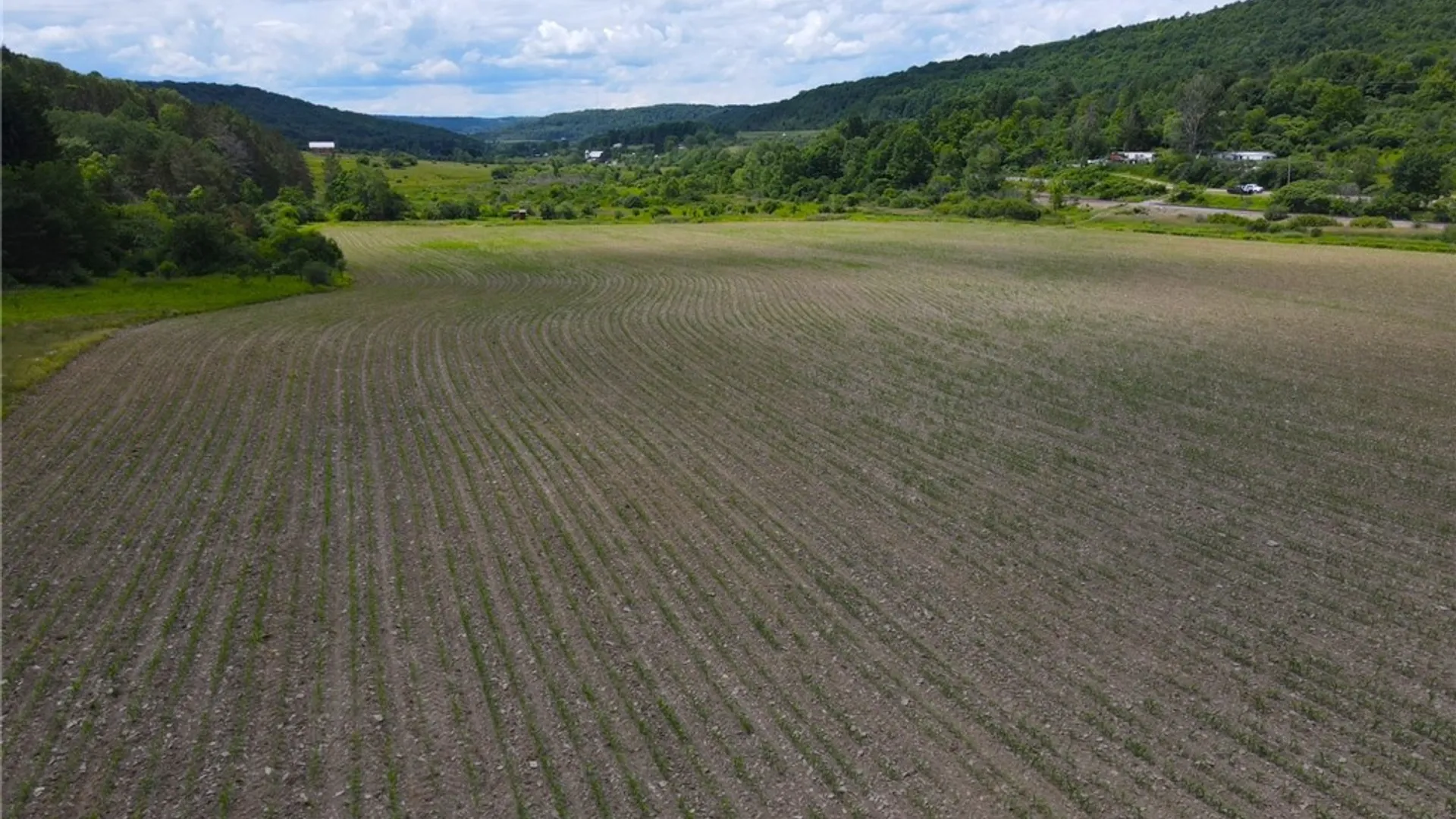 Property at Cr-20, Cuba, NY 14727 8