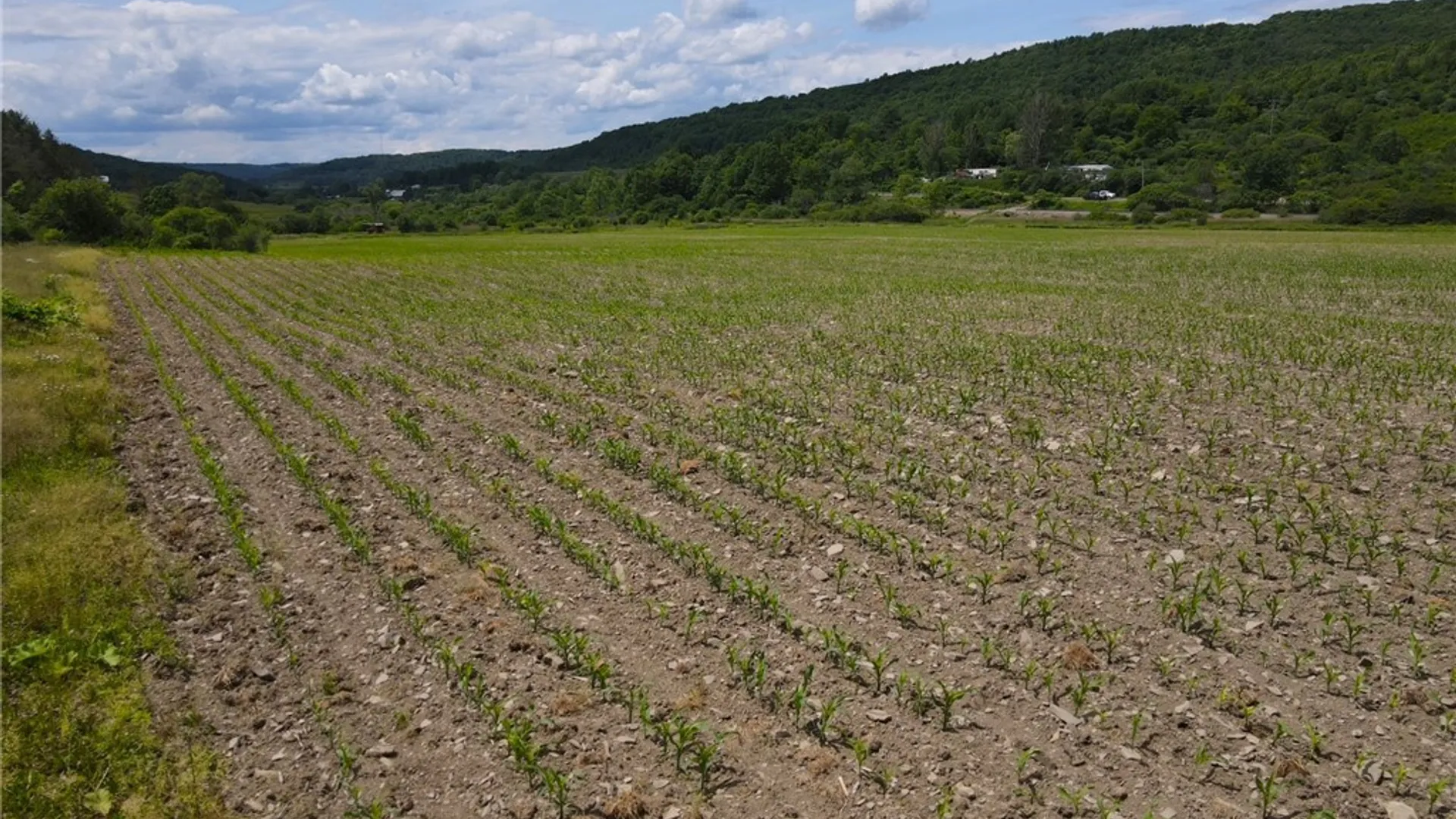 Property at Cr-20, Cuba, NY 14727 9