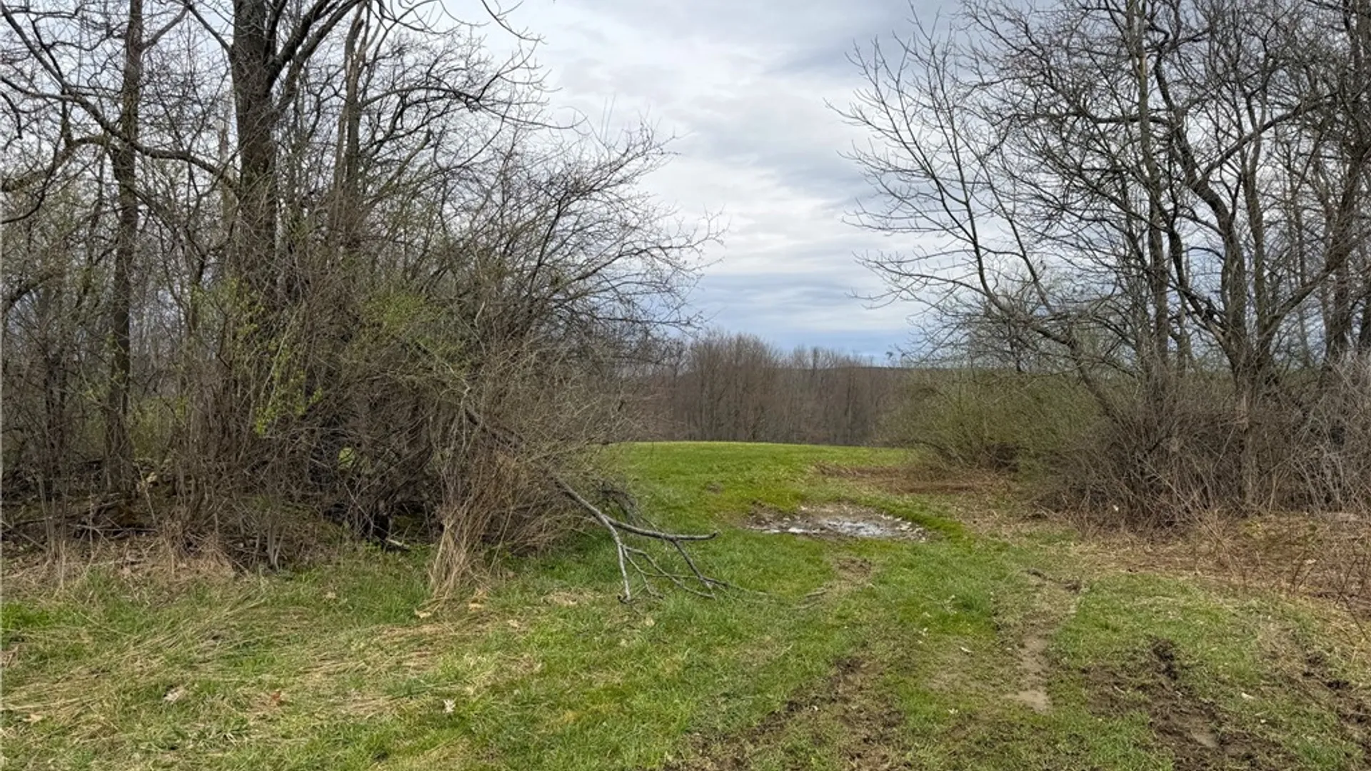 Property at Lot 7 Summit Road, Cuba, NY 14727 20