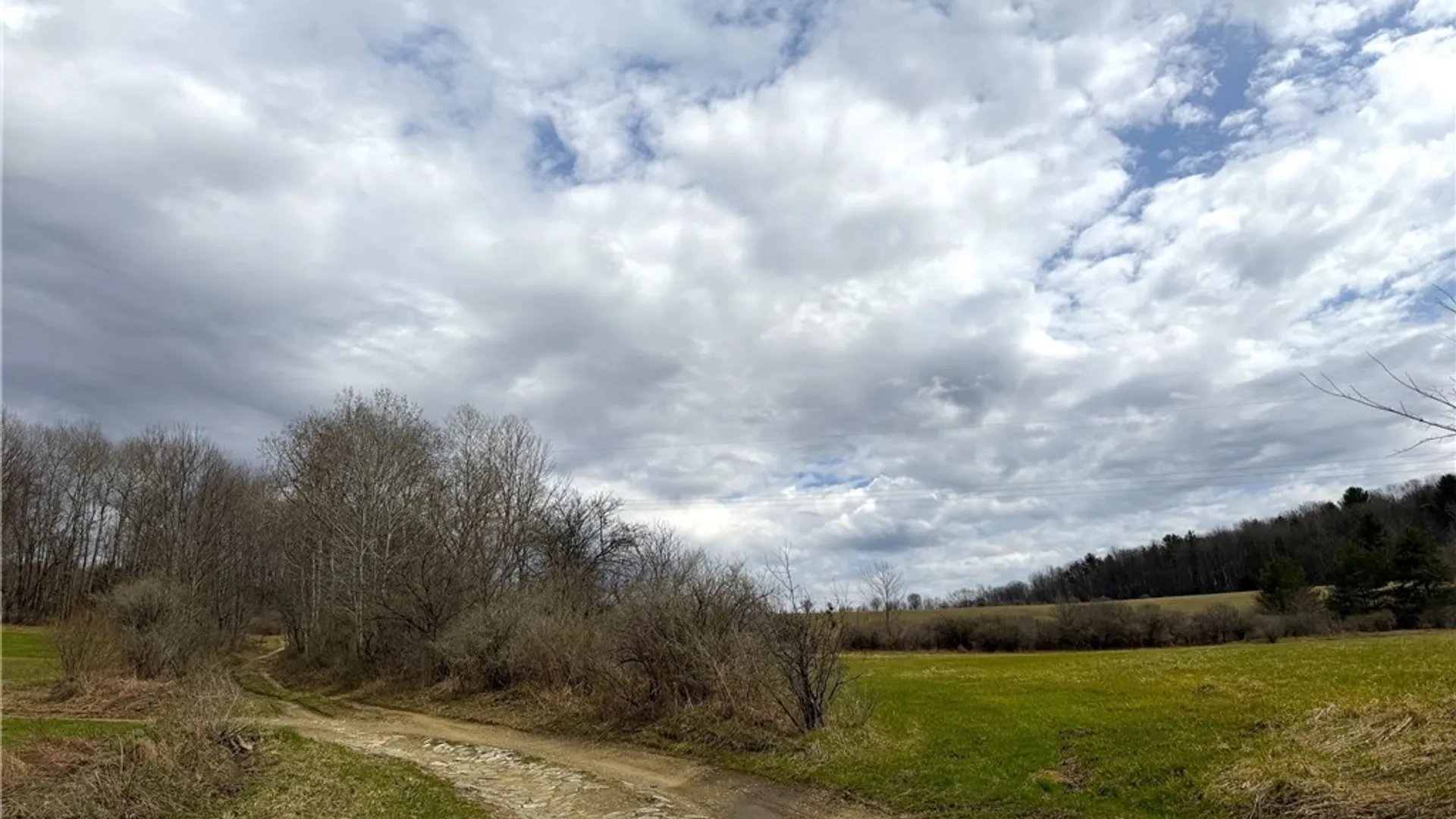 Property at Lot 7 Summit Road, Cuba, NY 14727 7