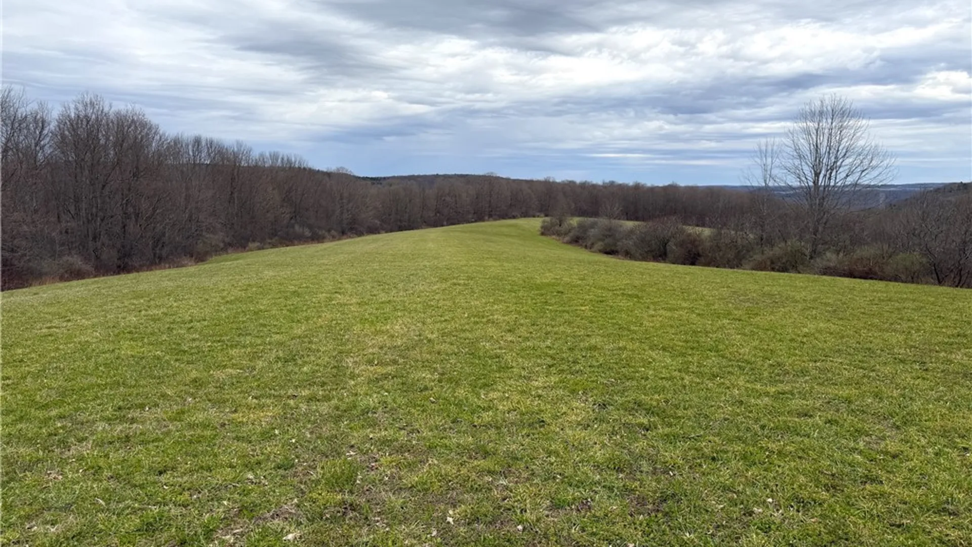 Property at Lot 7 Summit Road, Cuba, NY 14727 11