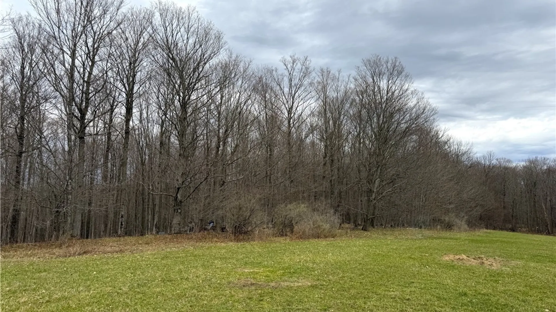 Property at Lot 7 Summit Road, Cuba, NY 14727 12