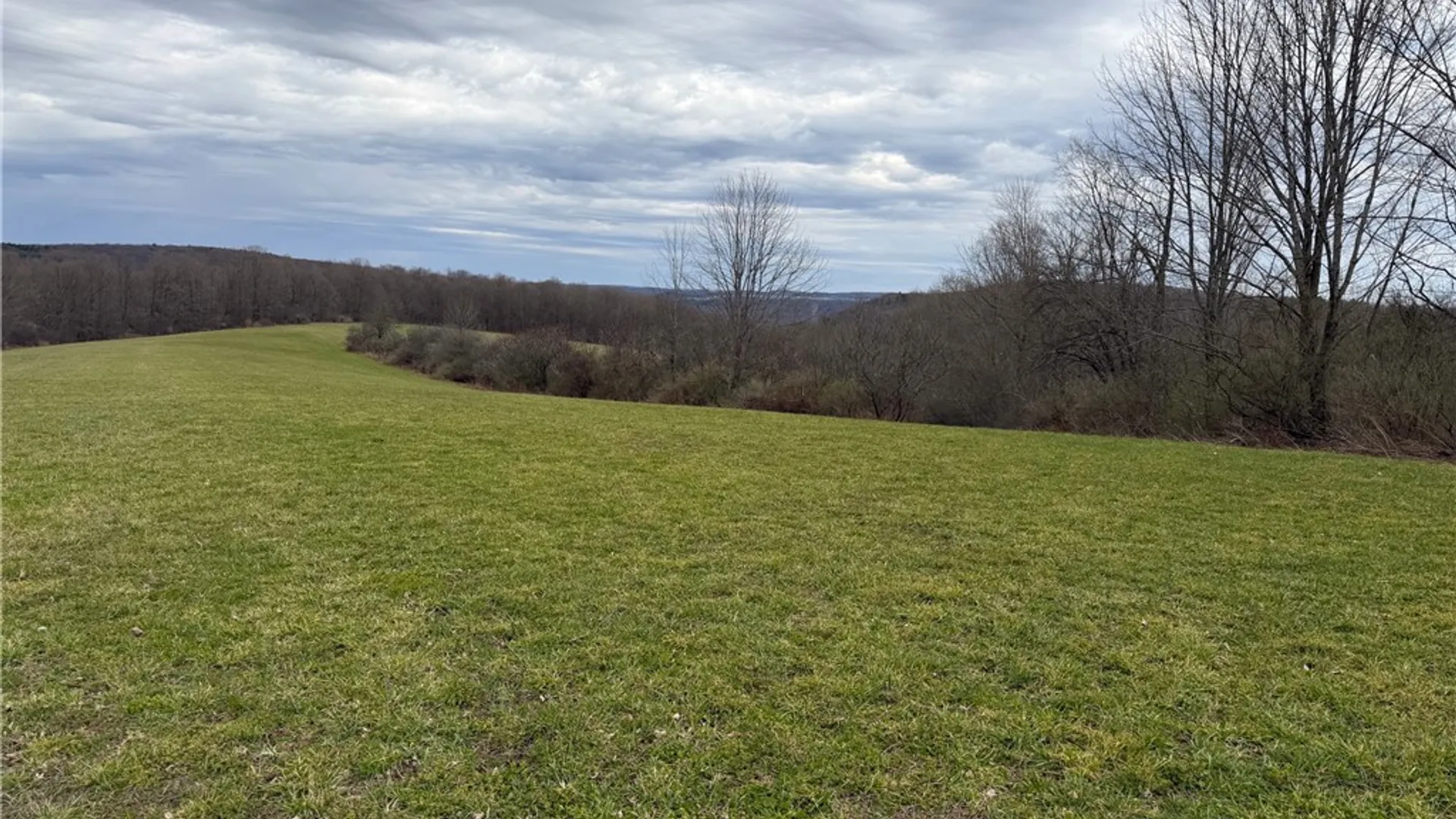 Property at Lot 7 Summit Road, Cuba, NY 14727 13