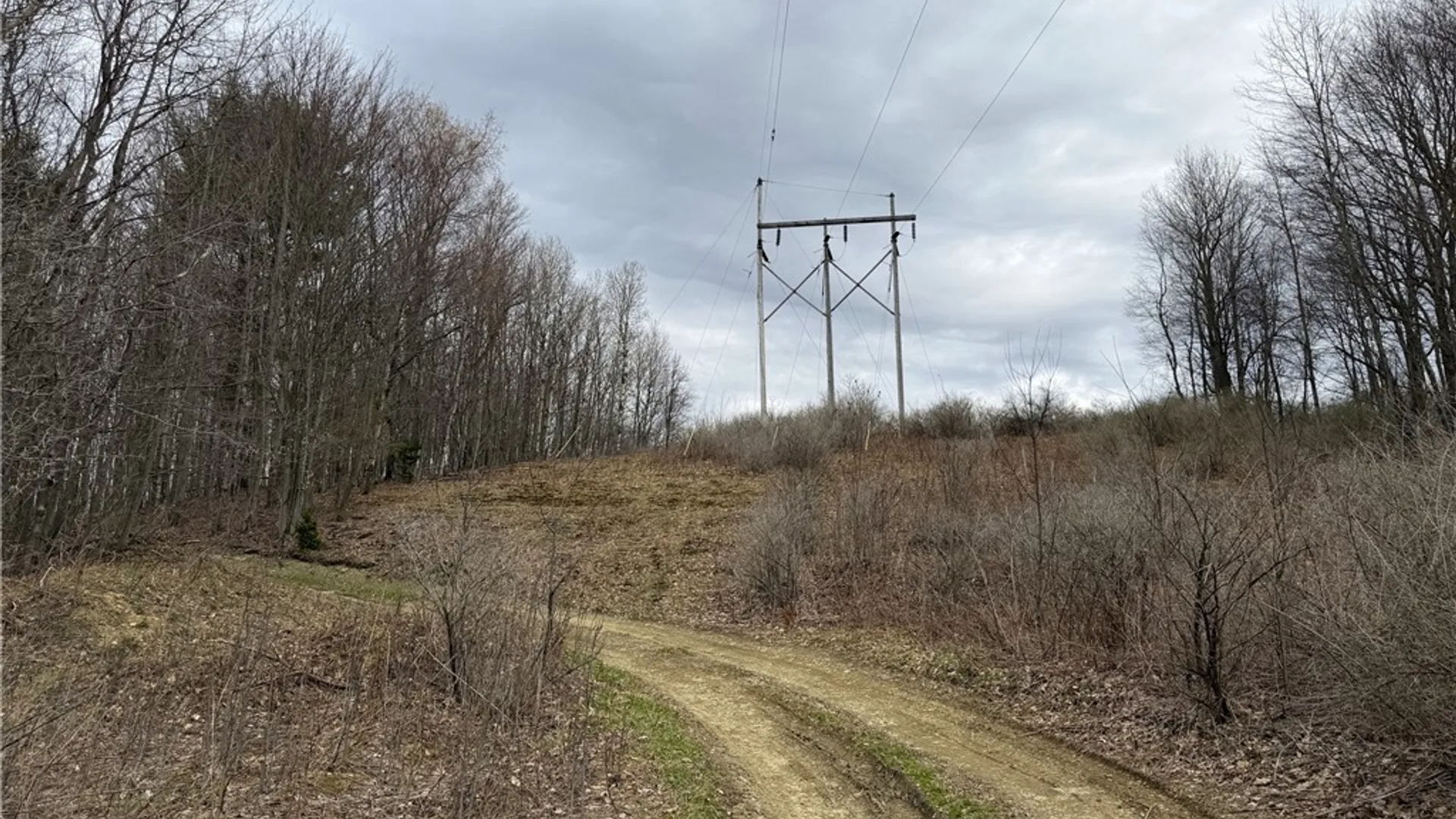 Property at Lot 7 Summit Road, Cuba, NY 14727 15