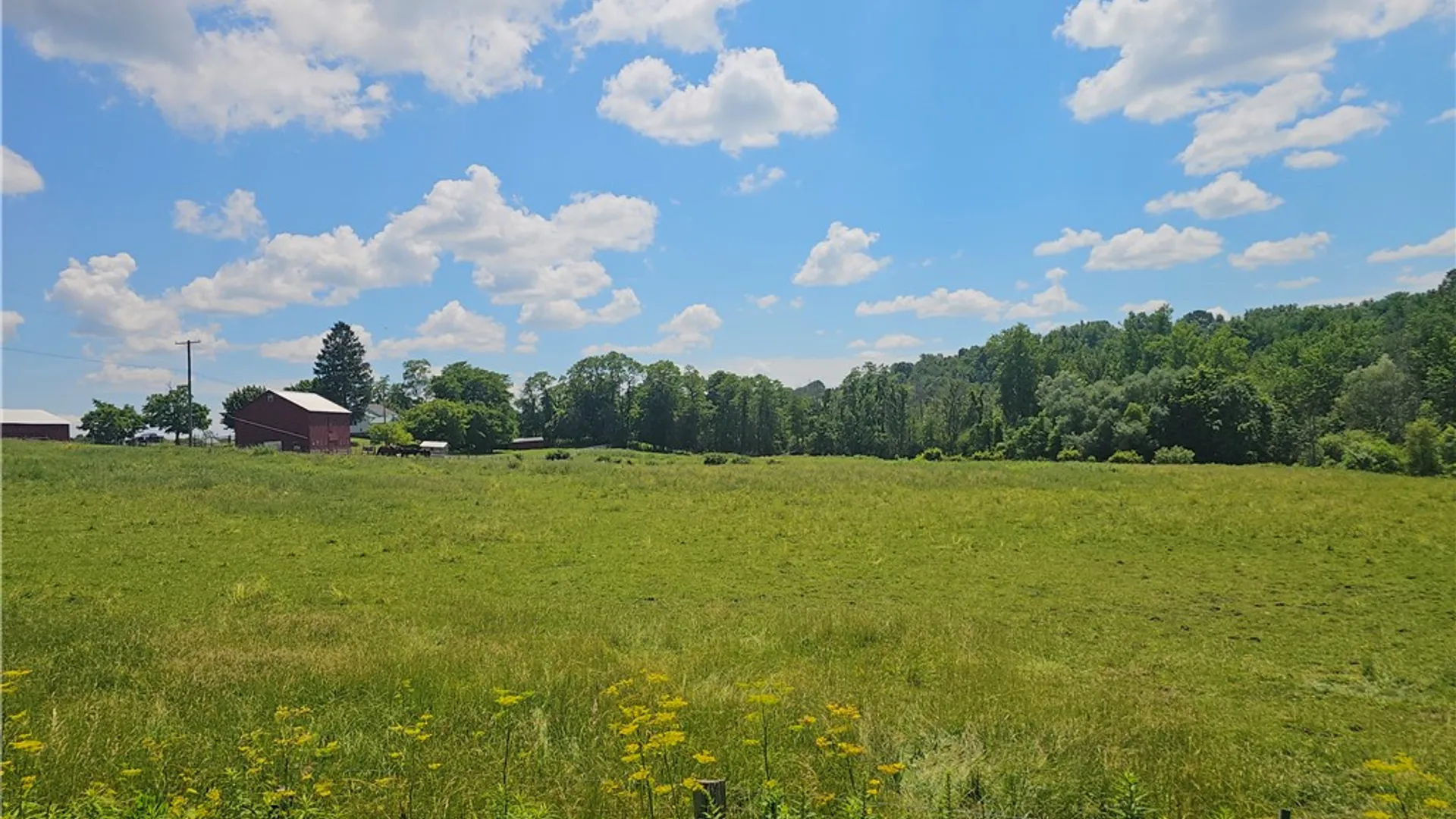 Property at 3593 State Route 14, Lyons, NY 14489 36