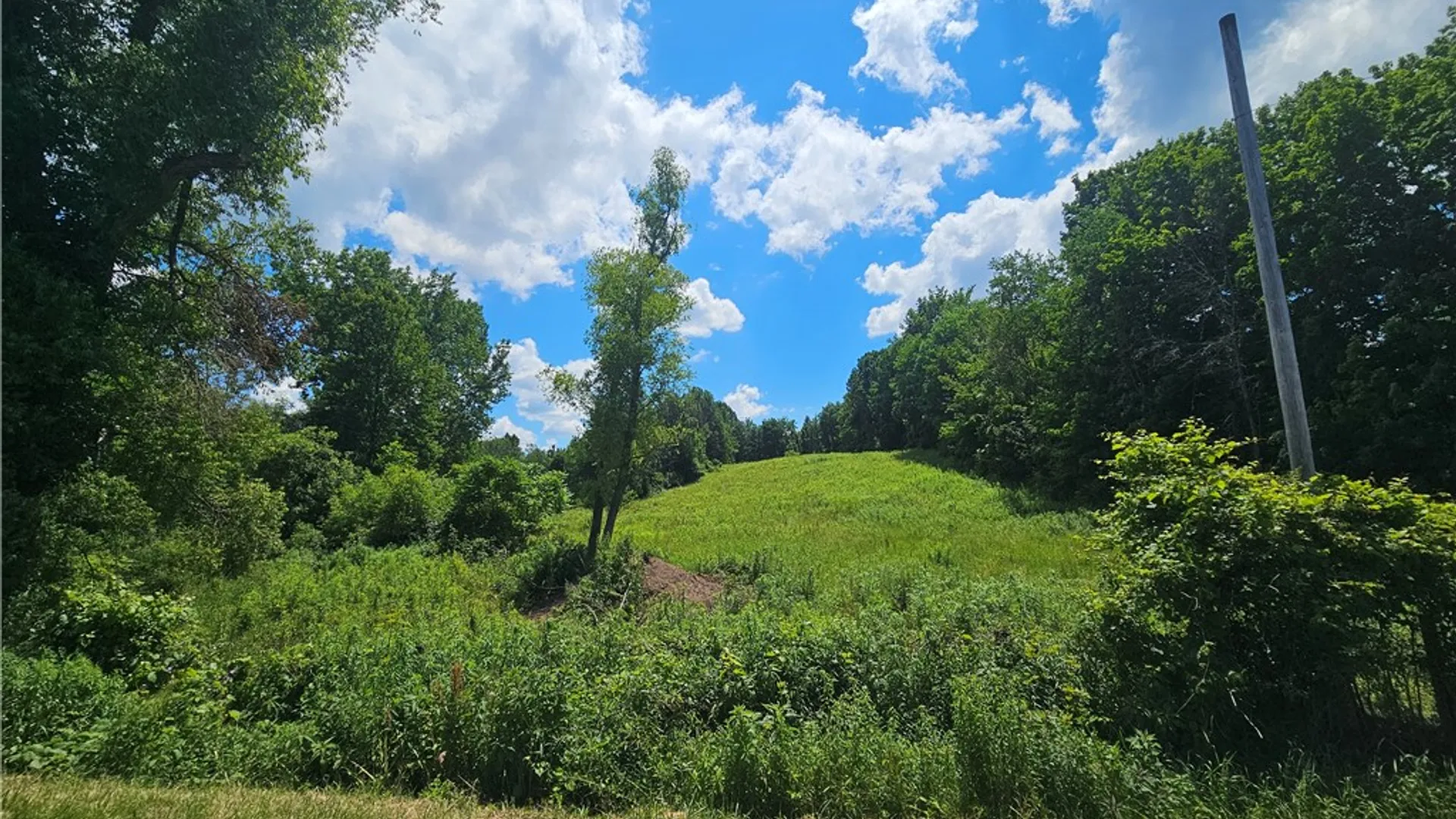 Property at 3593 State Route 14, Lyons, NY 14489 37