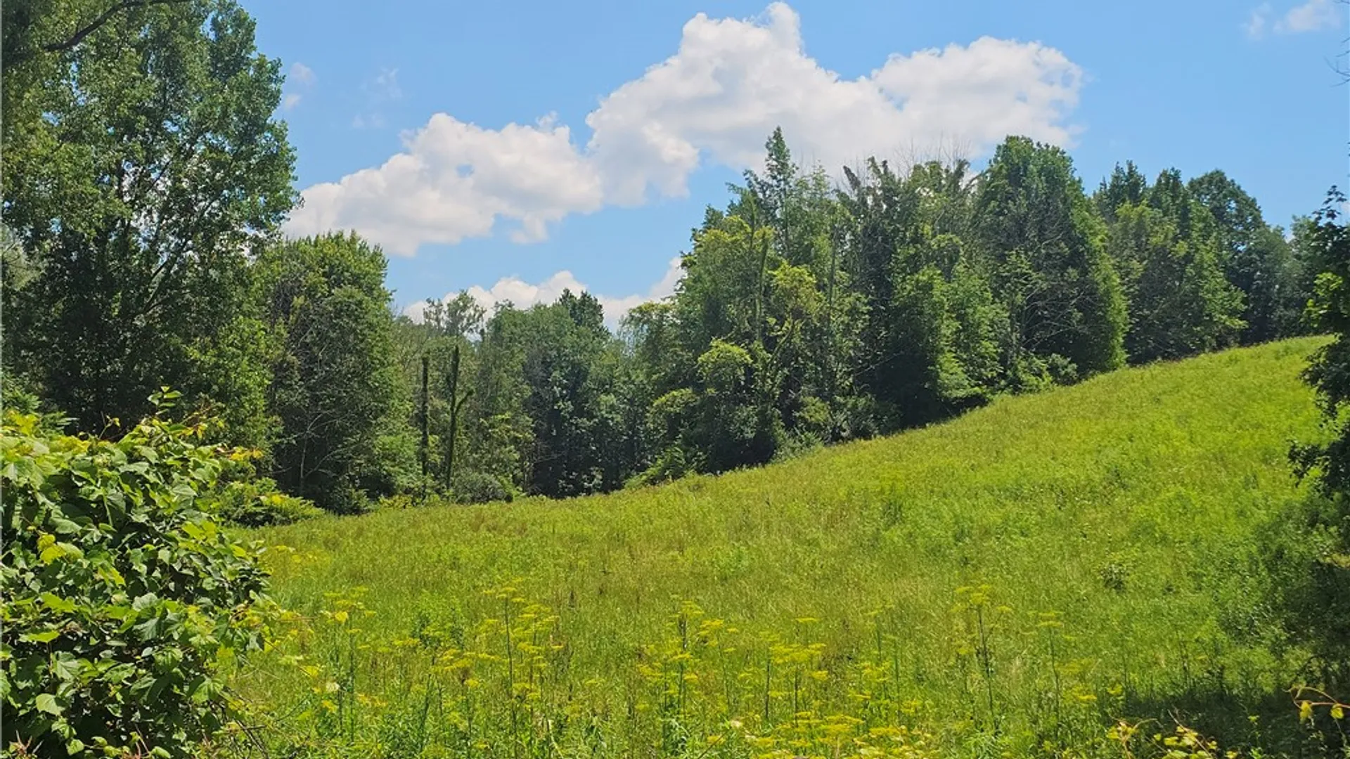 Property at 3593 State Route 14, Lyons, NY 14489 38