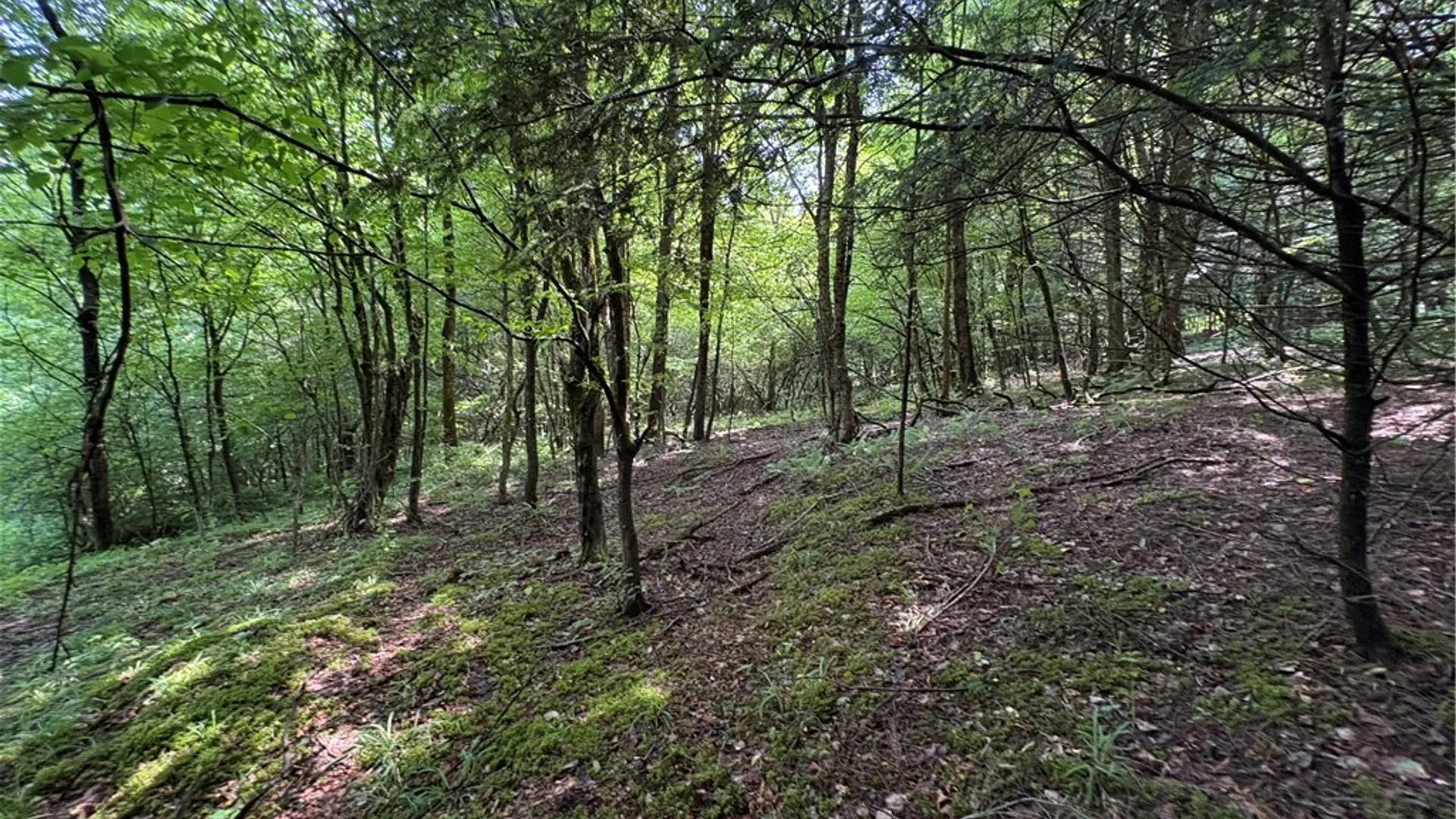 Property at Stage Road, Otselic, NY 13155 4