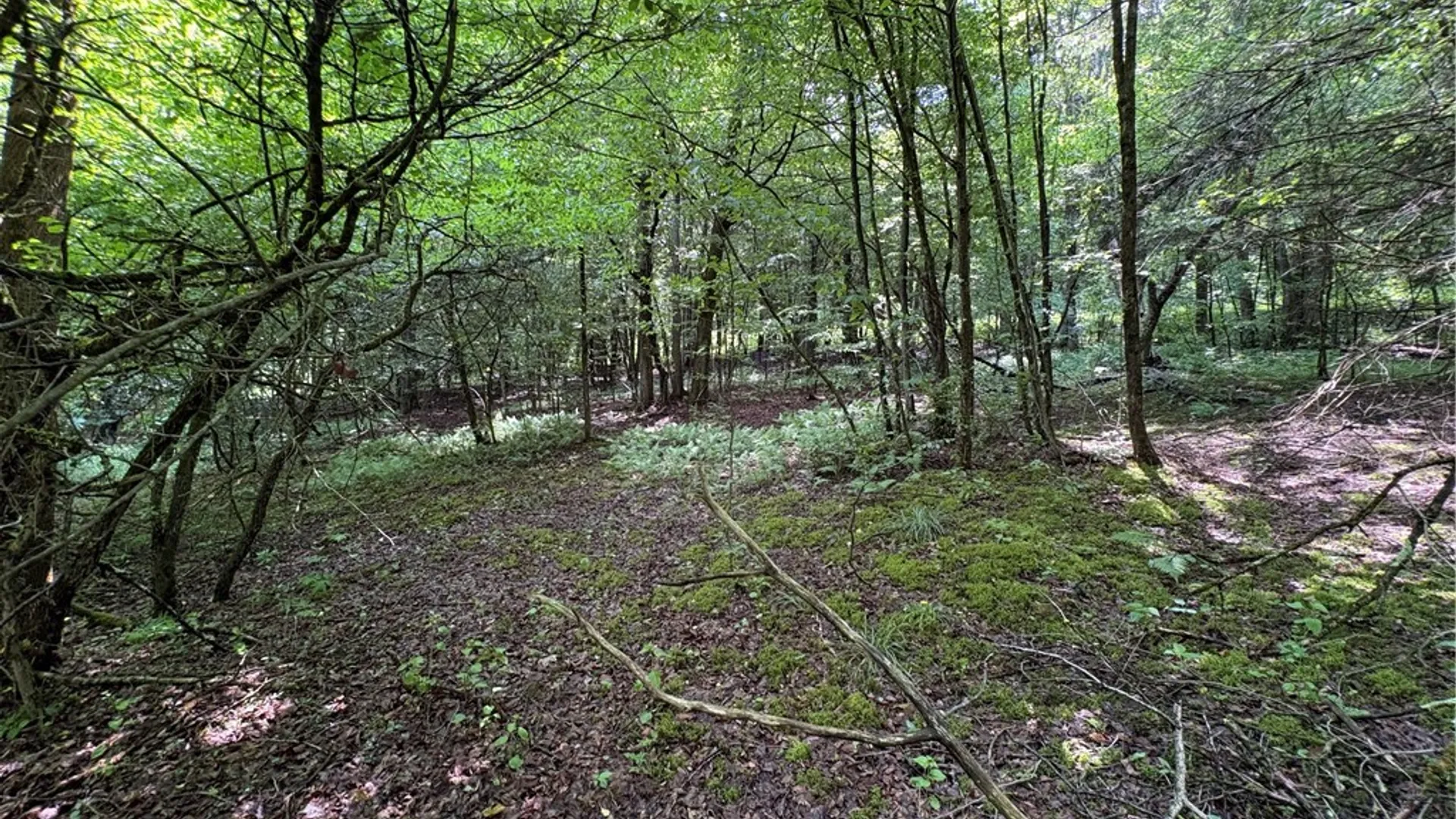 Property at Stage Road, Otselic, NY 13155 18
