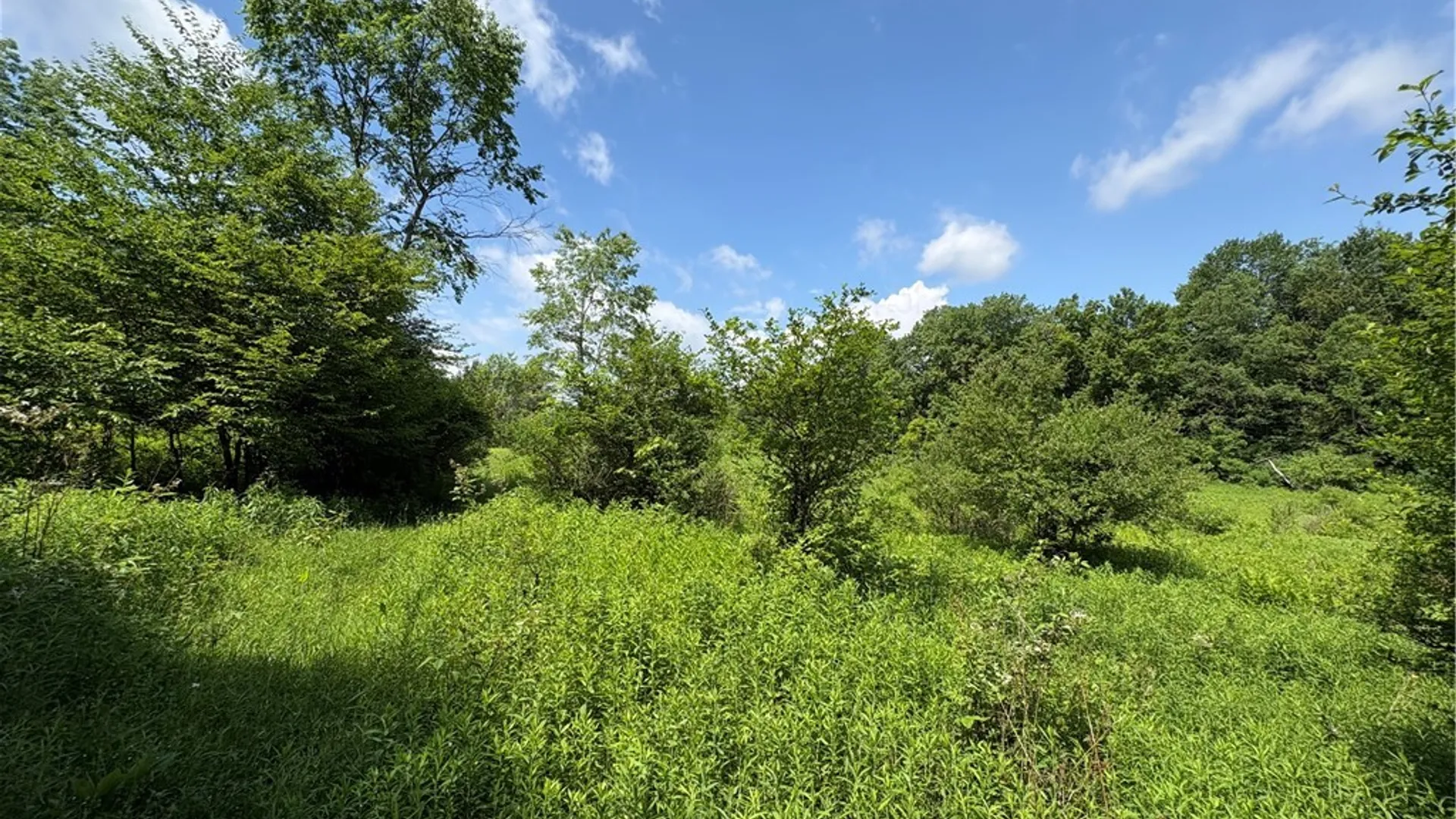 Property at Stage Road, Otselic, NY 13155 9