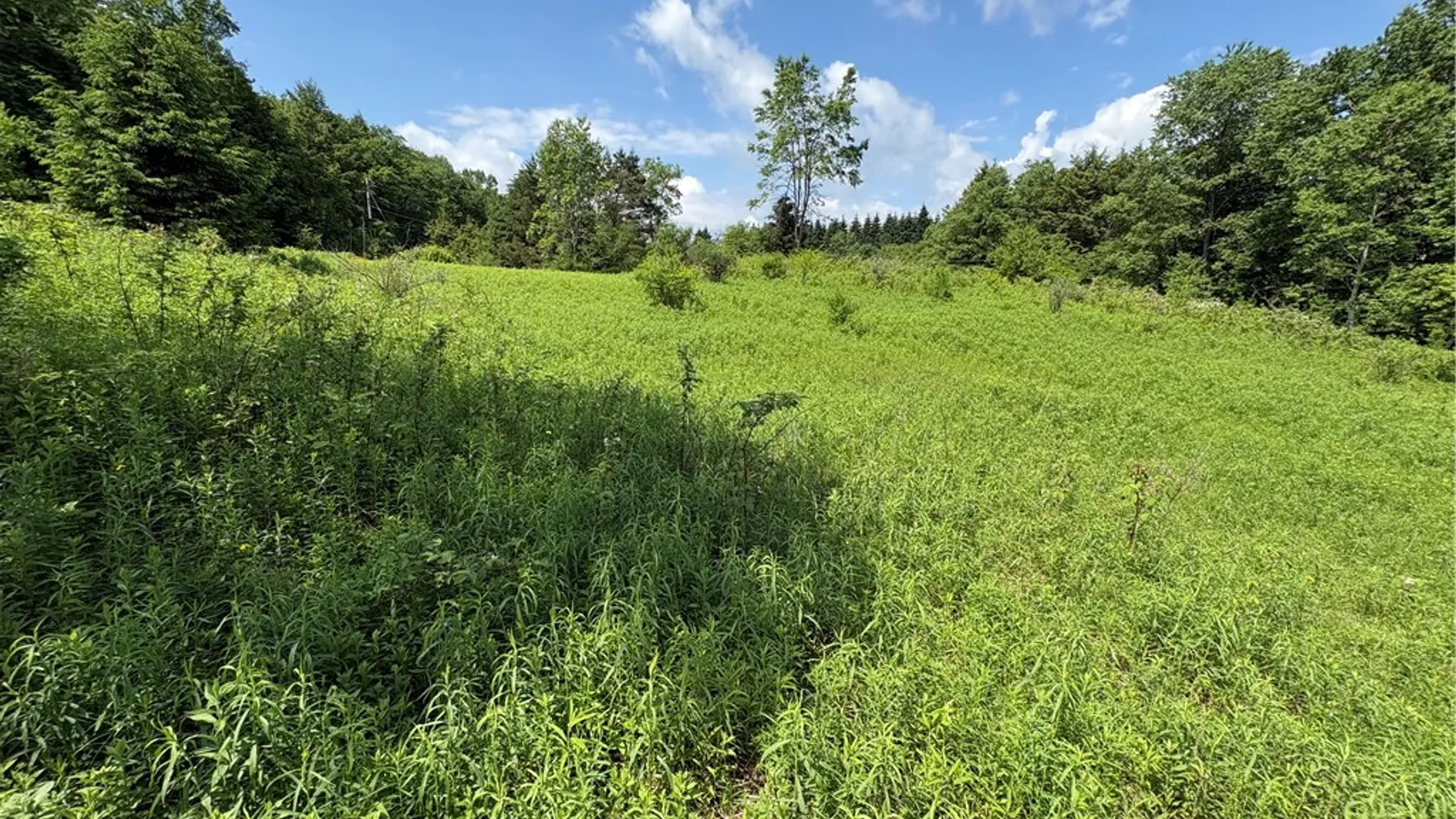 Property at Stage Road, Otselic, NY 13155 16