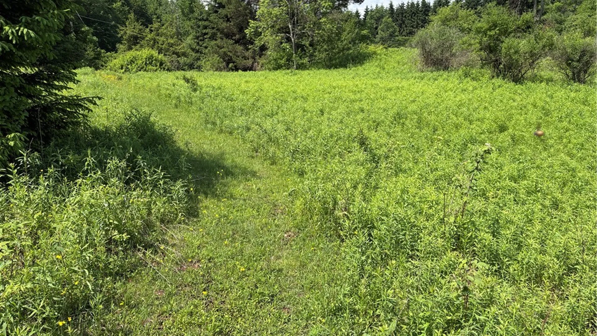 Property at Stage Road, Otselic, NY 13155 26