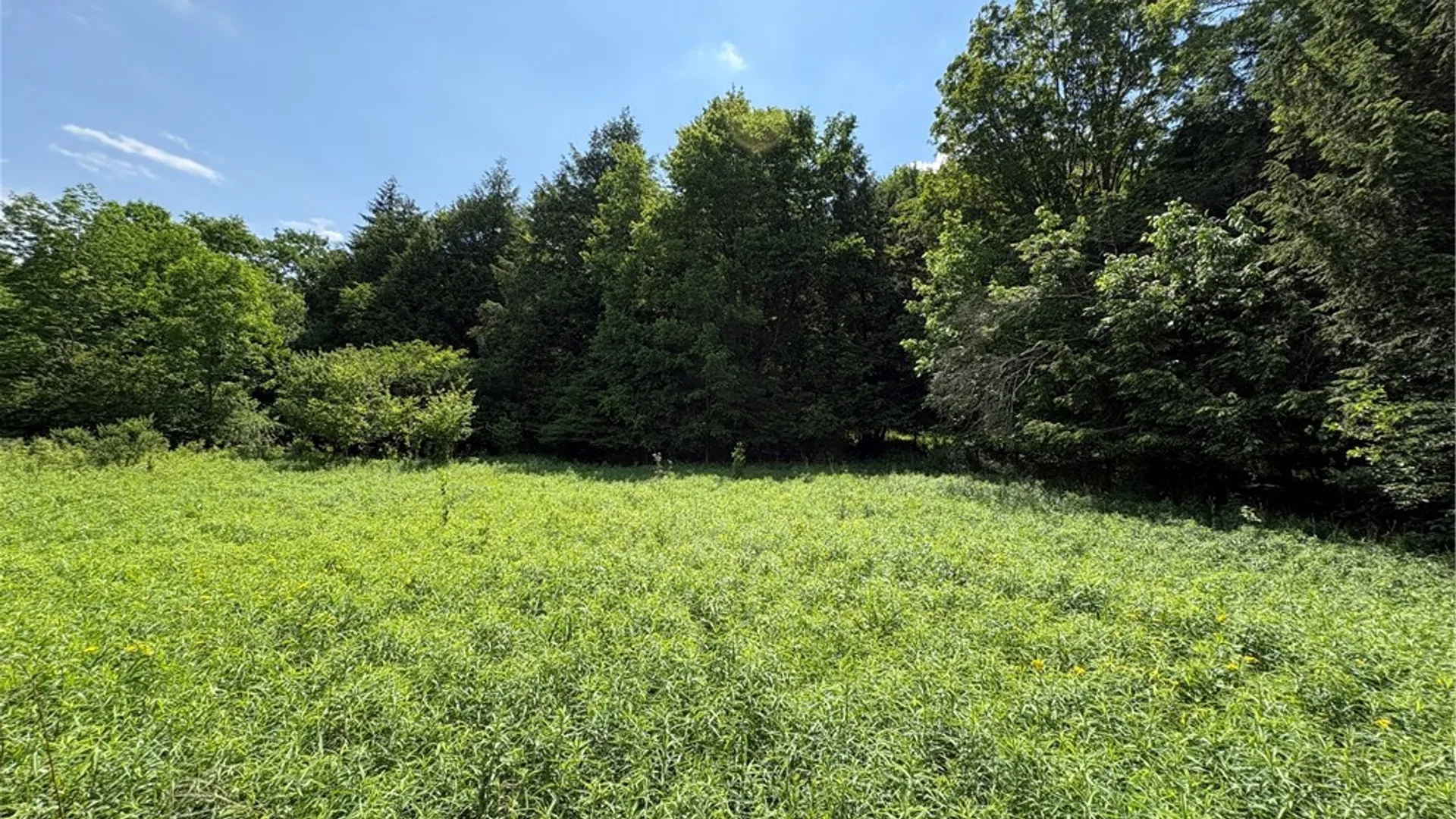 Property at Stage Road, Otselic, NY 13155 23