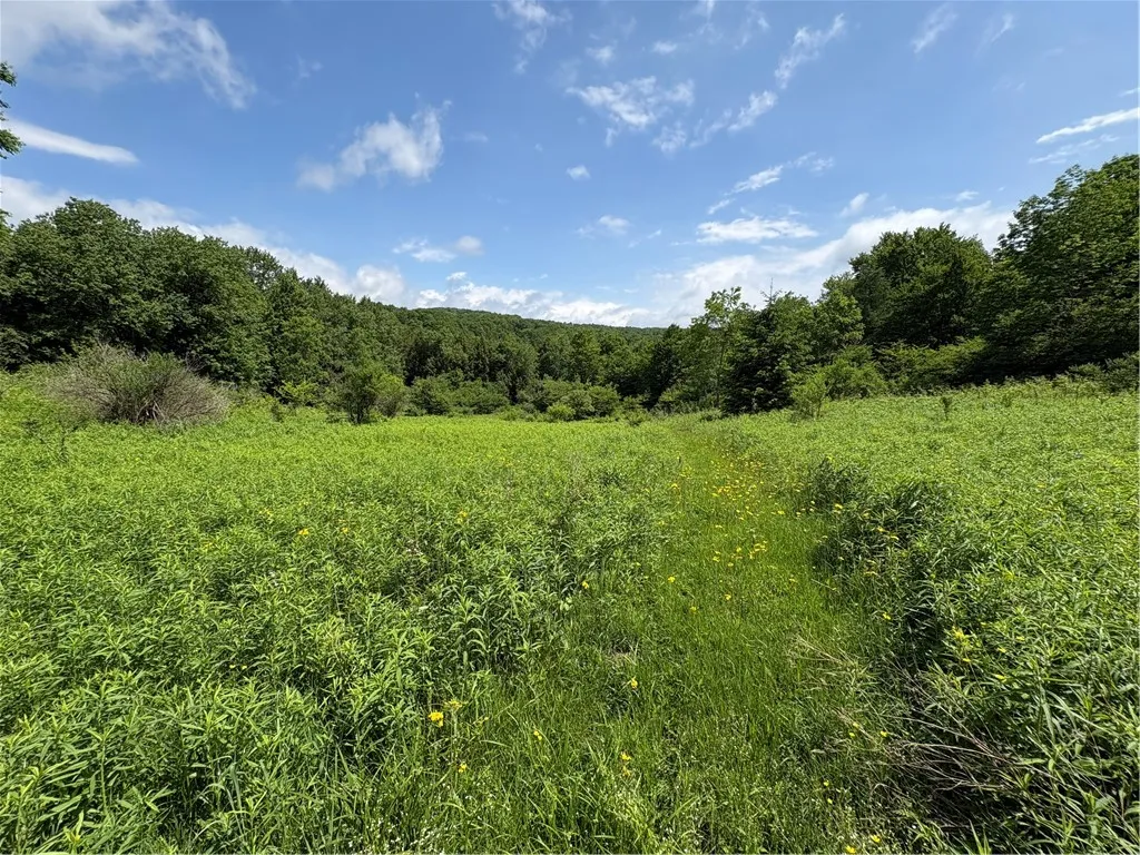 Property at Stage Road, Otselic, NY 13155