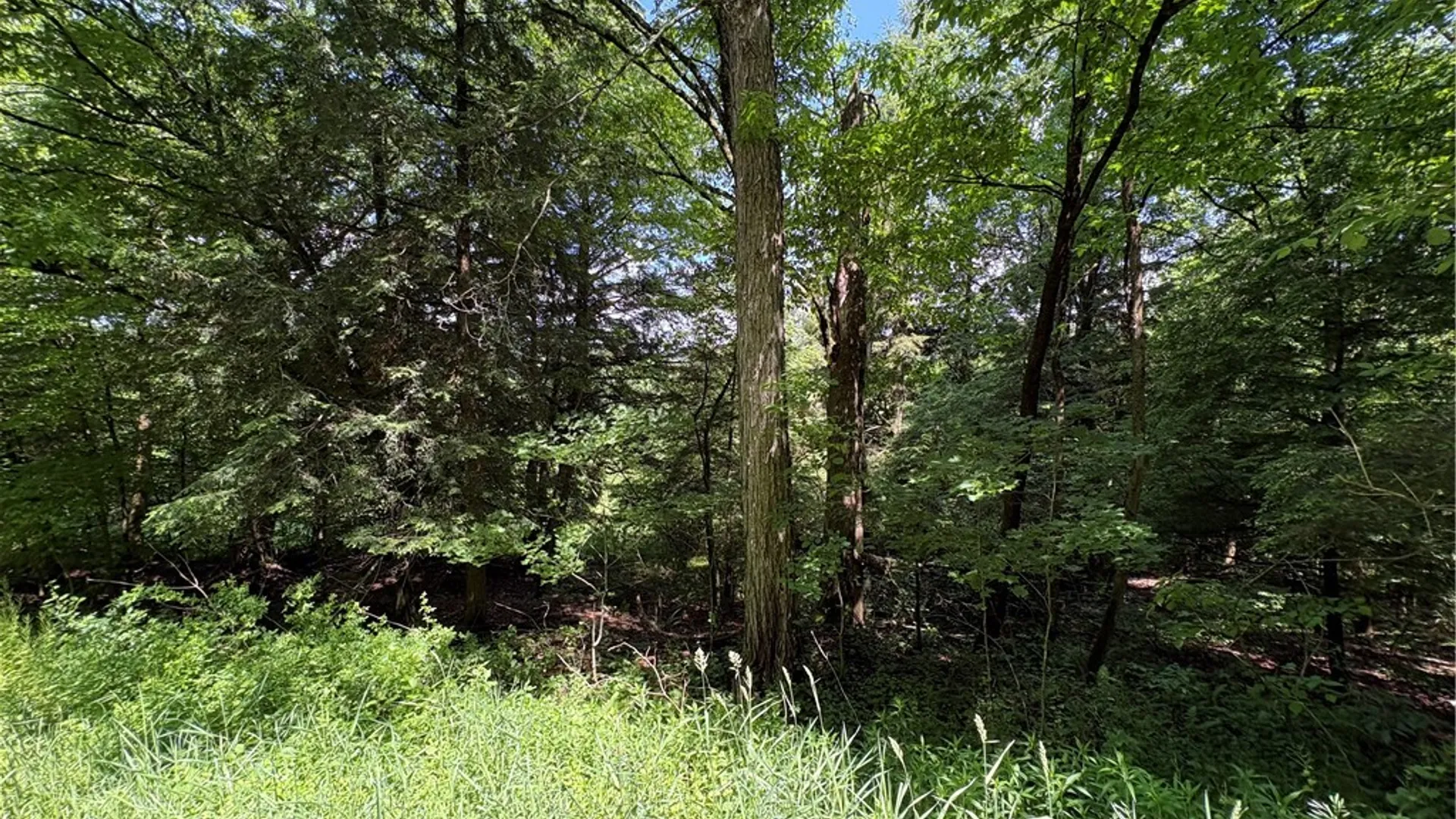 Property at Stage Road, Otselic, NY 13155 17