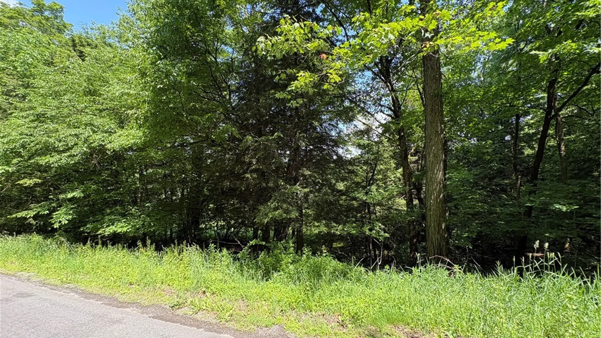 Property at Stage Road, Otselic, NY 13155 13
