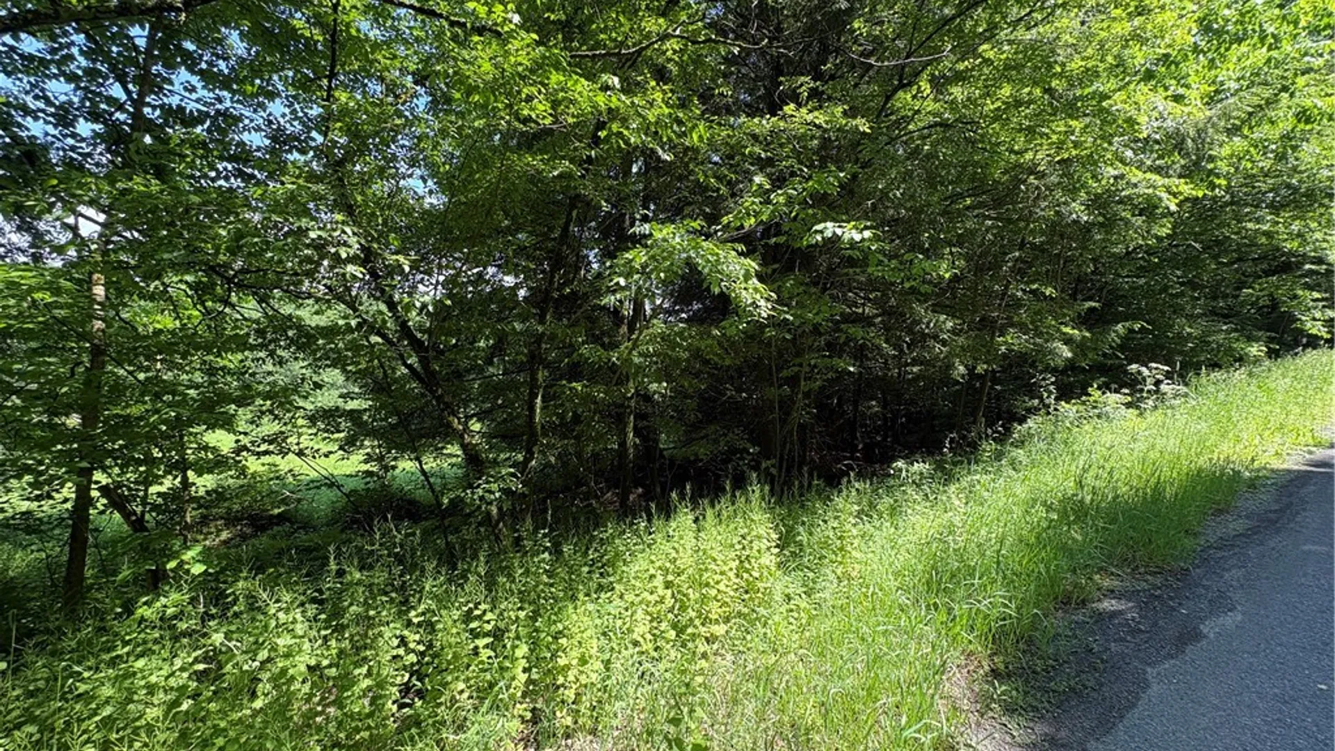 Property at Stage Road, Otselic, NY 13155 14