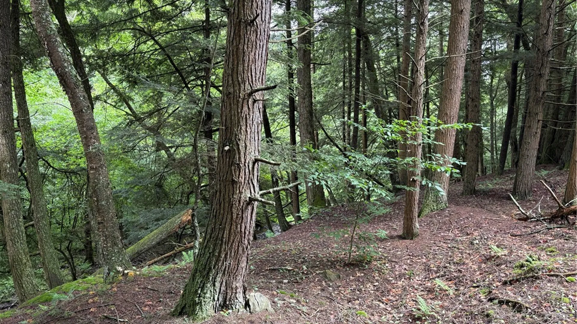 Property at Stage Road, Otselic, NY 13155 7