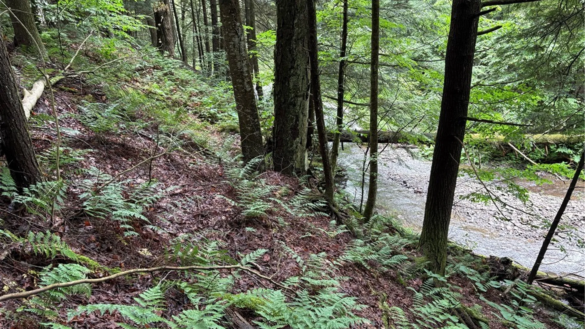 Property at Stage Road, Otselic, NY 13155 5