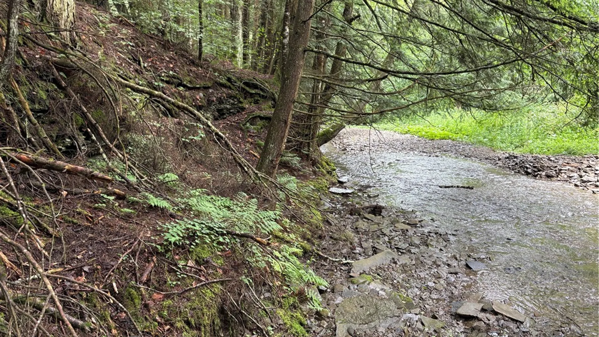 Property at Stage Road, Otselic, NY 13155 20
