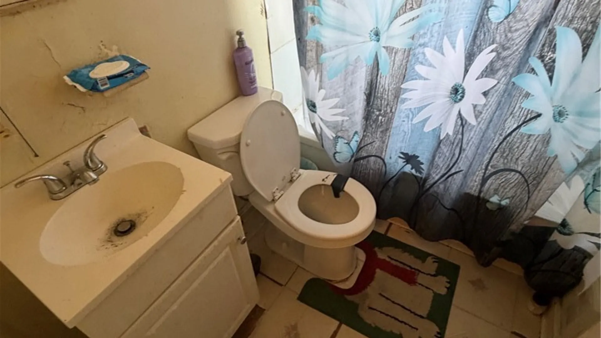 Property at 31 Ellen Drive, Cheektowaga, NY 14225 21