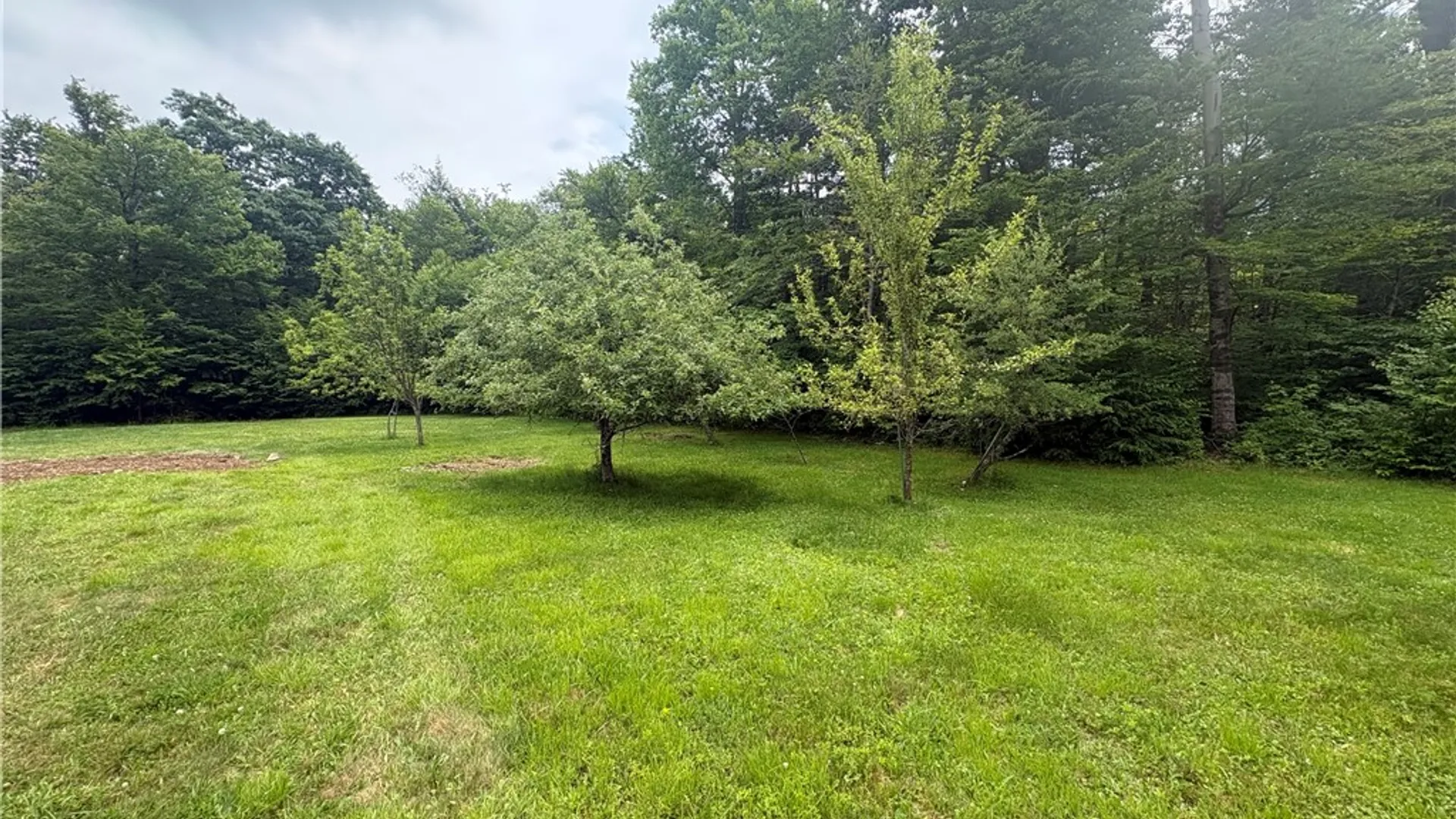 Property at 123 Easy Street, Maryland, NY 12116 19