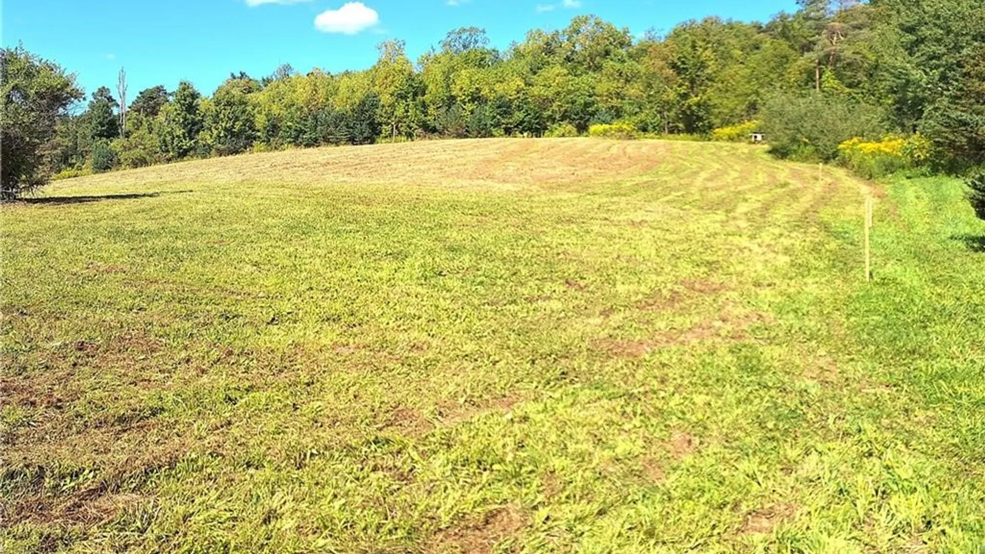 Property at Rt-21, Wayland, NY 14572 3