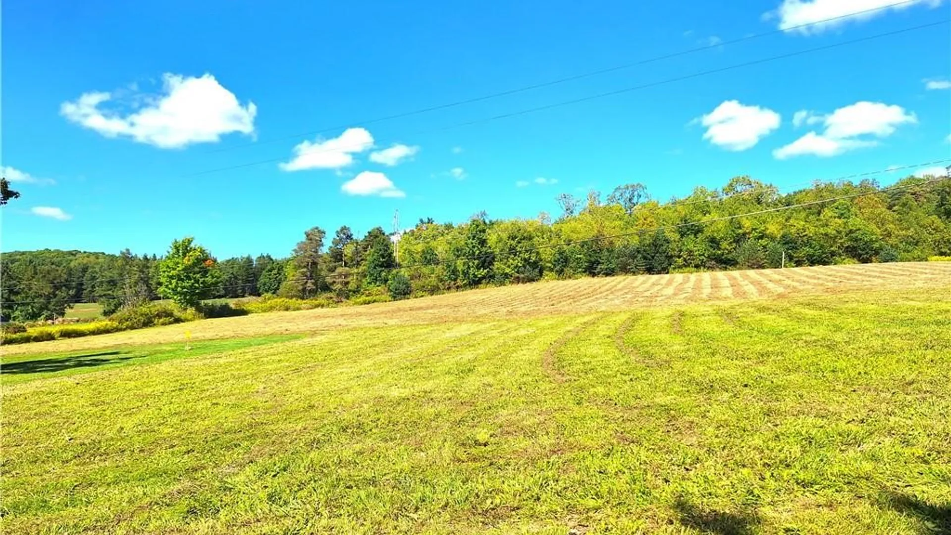 Property at Rt-21, Wayland, NY 14572 4