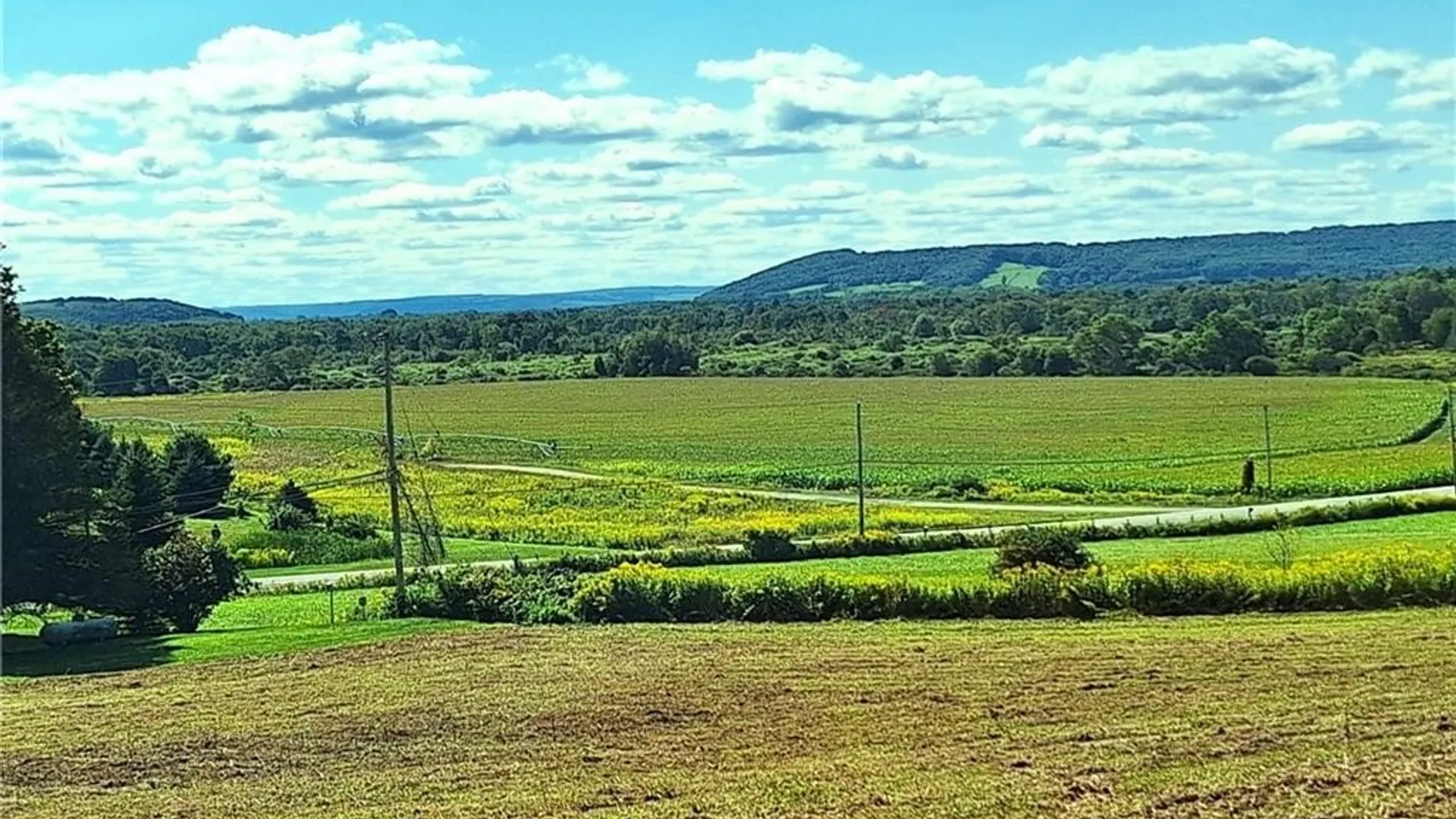 Property at Rt-21, Wayland, NY 14572 6