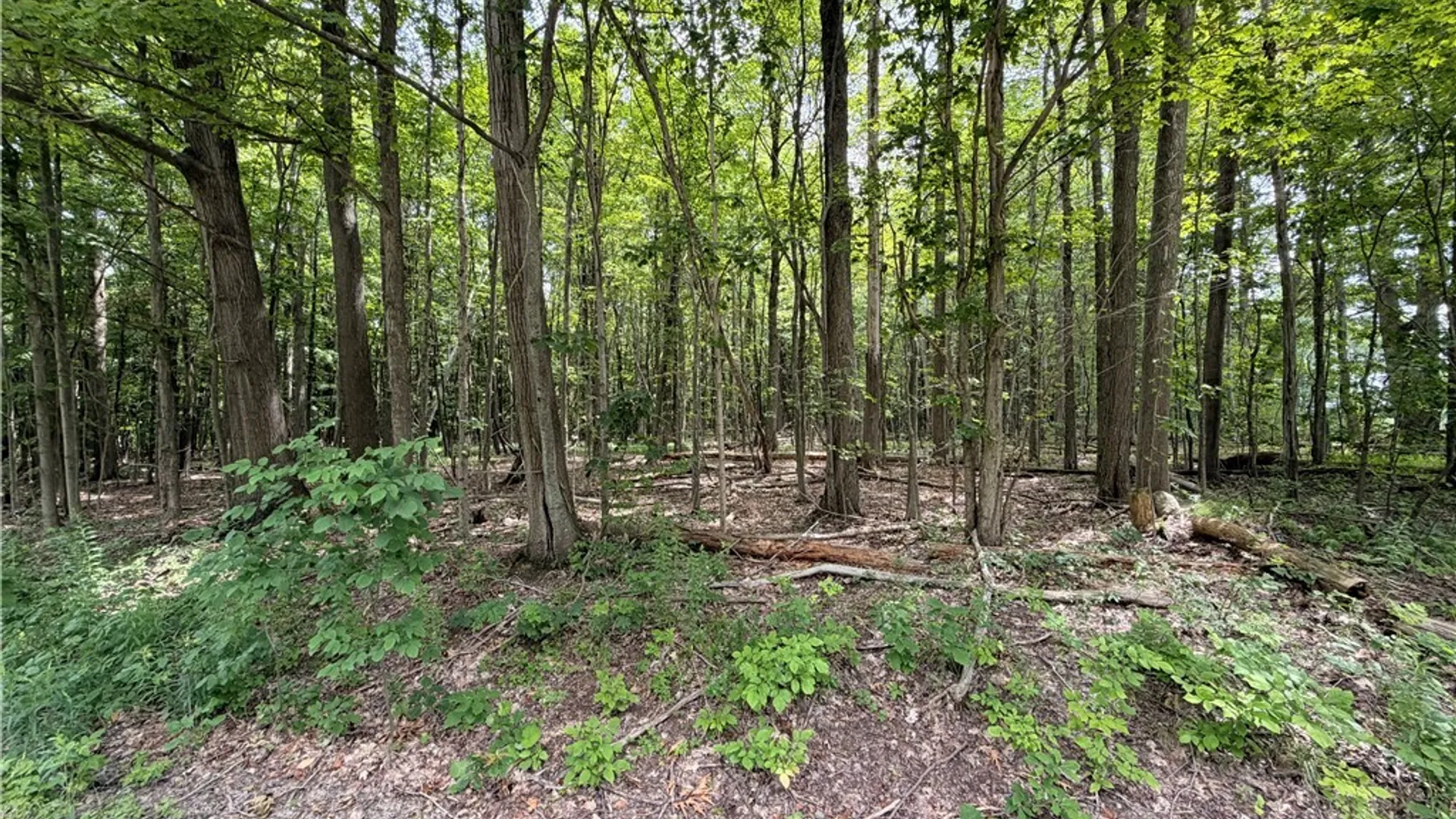 Property at 00 Panama-Stedman Road, North Harmony, NY 14757 3