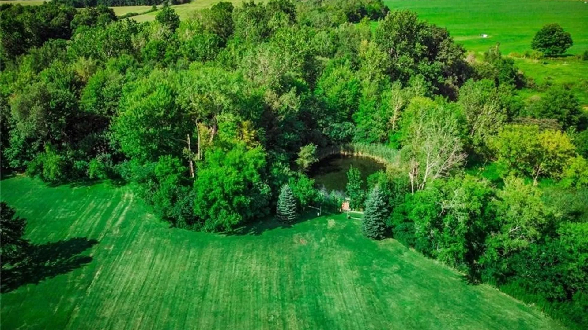 Property at 2990 Route 39, Collins, NY 14034 17